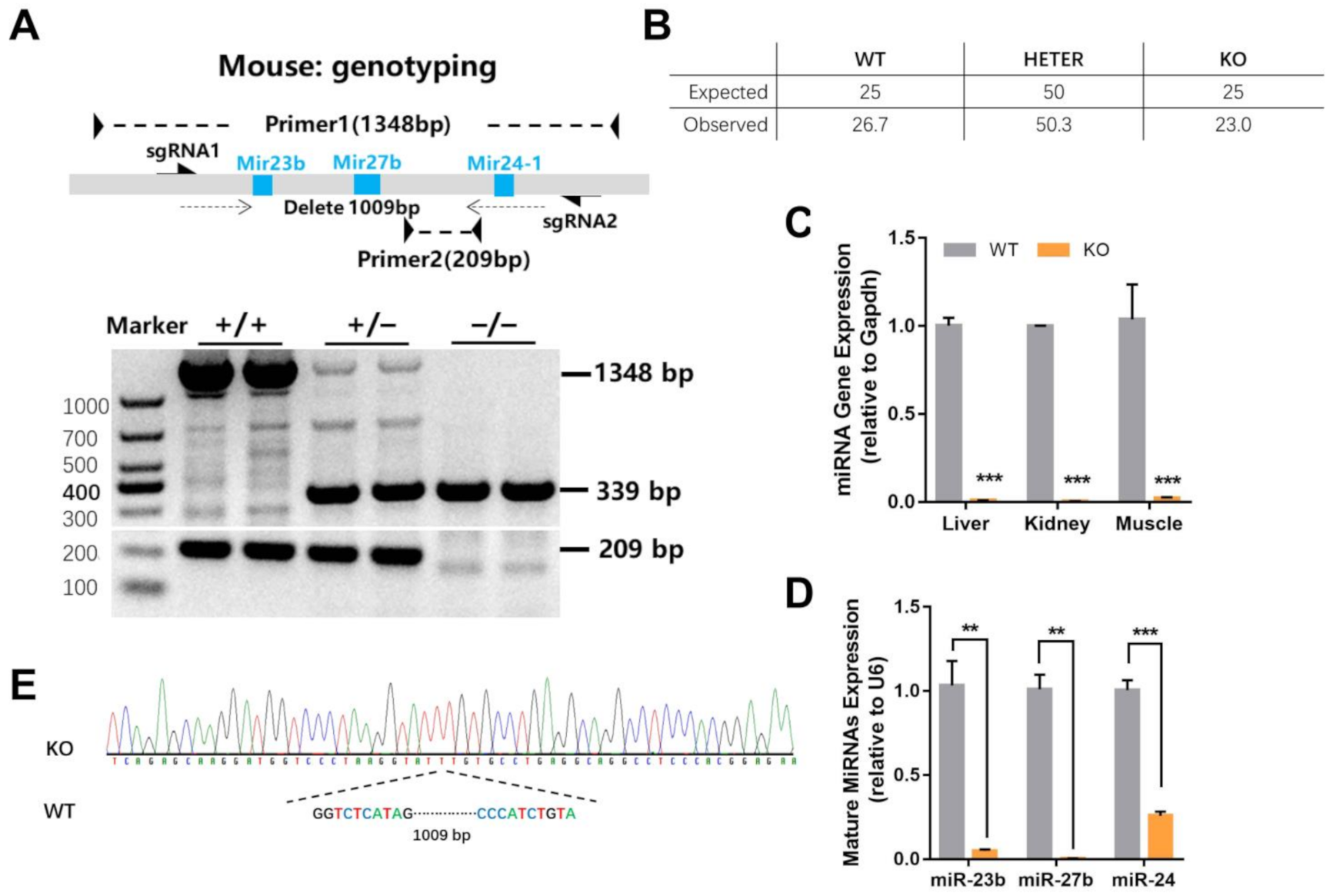 Ijms 22 00550 g001 Ijms 22 00550 g001