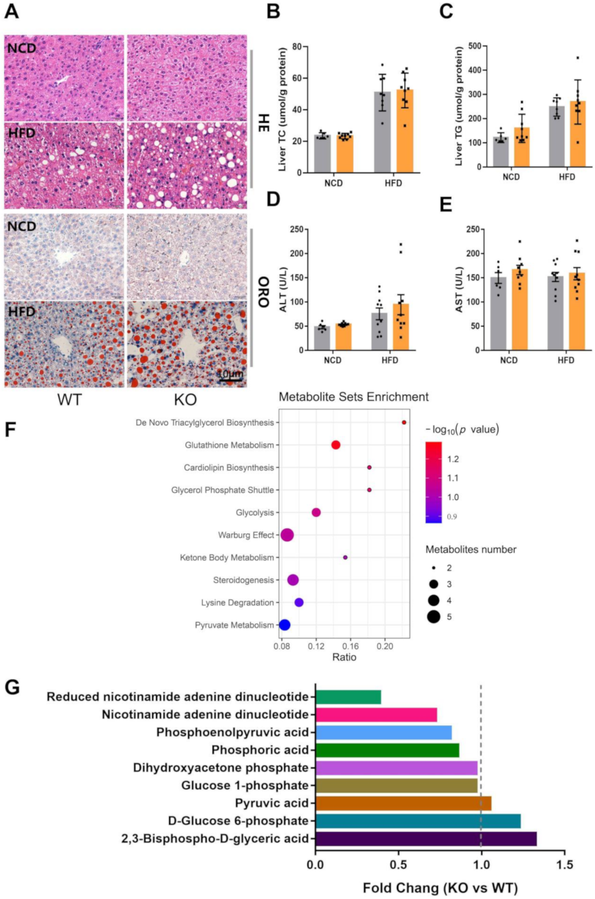 Ijms 22 00550 g003 Ijms 22 00550 g003
