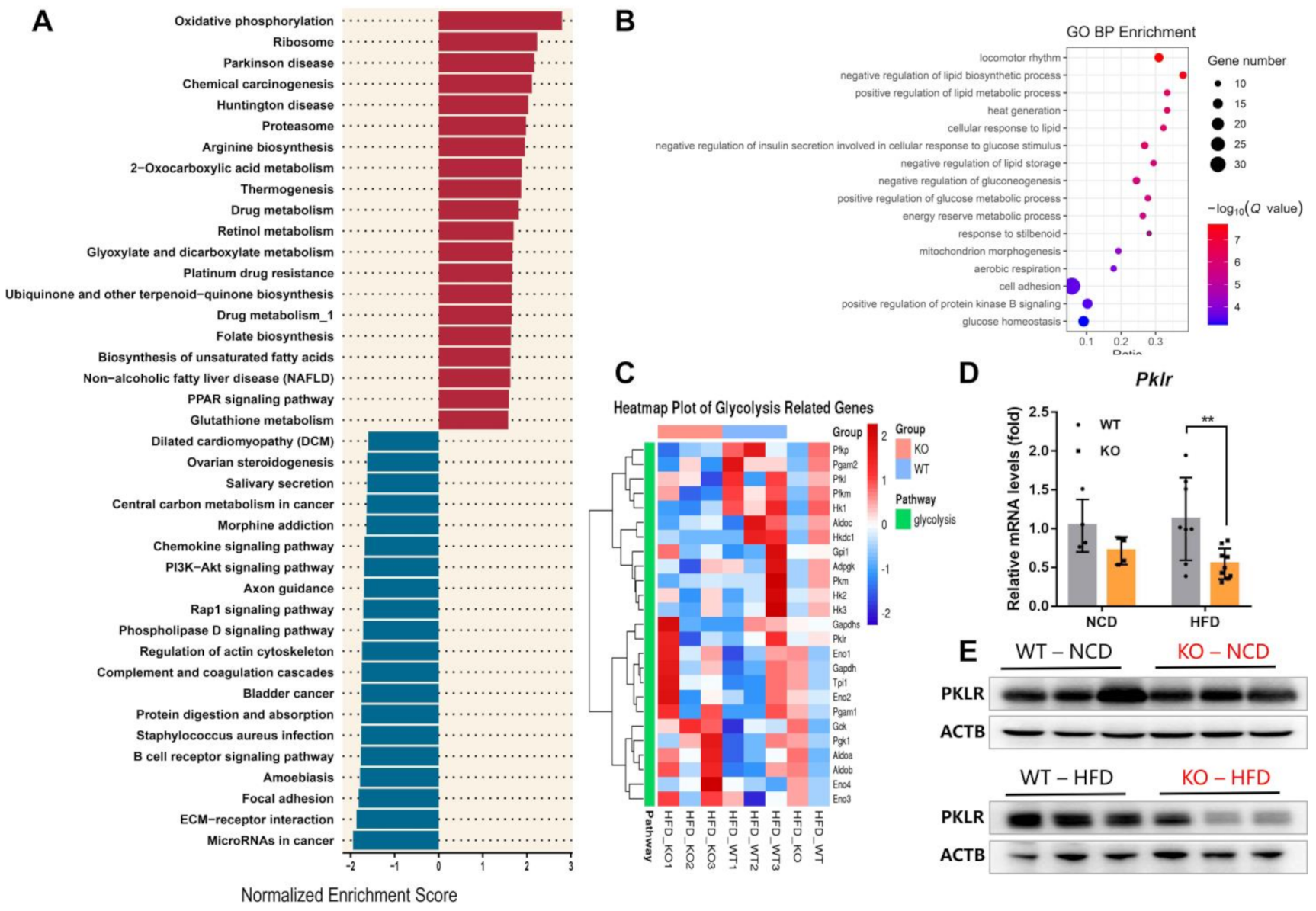 Ijms 22 00550 g004 Ijms 22 00550 g004
