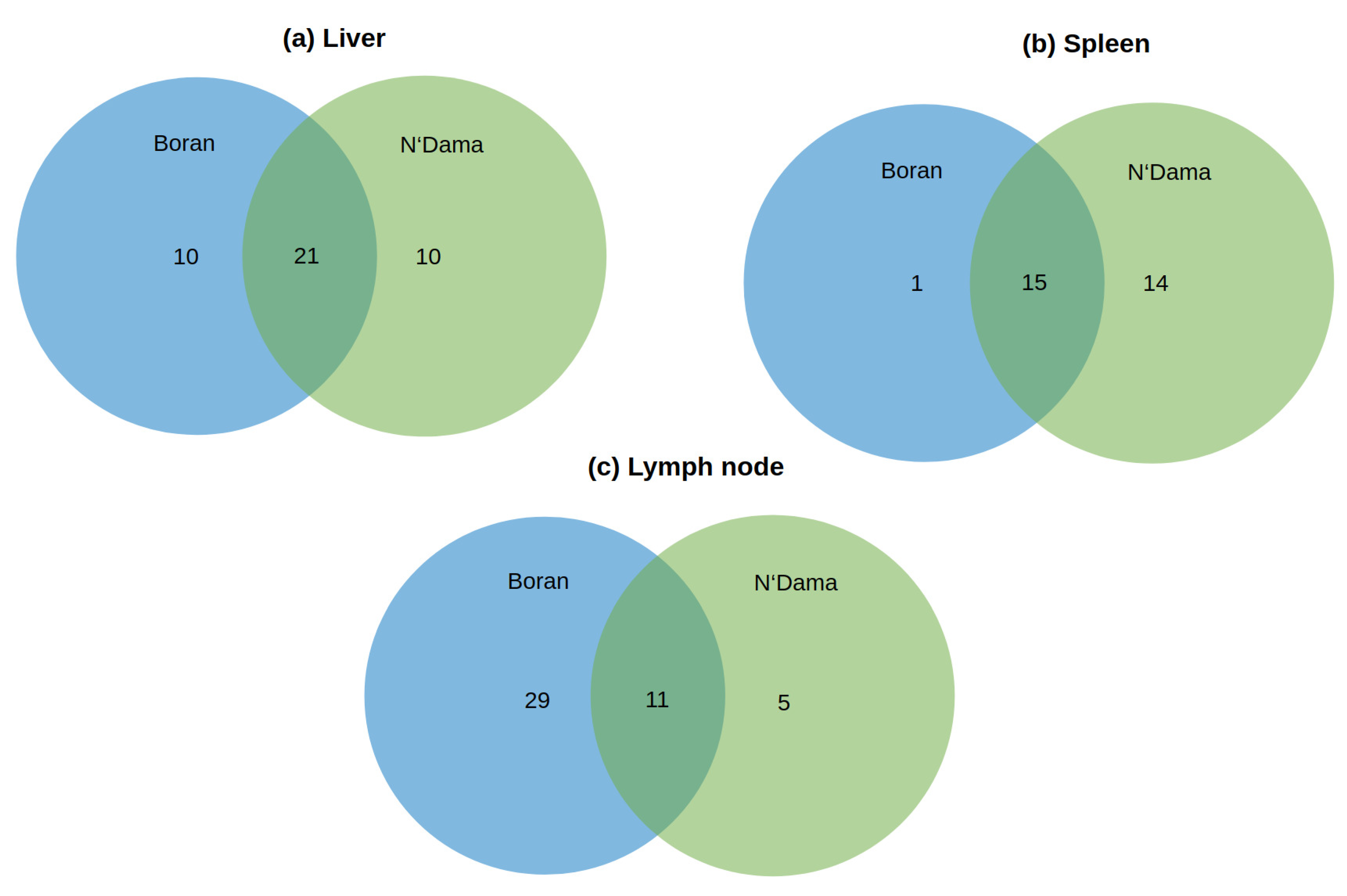 Ijms Free Full Text Computational Identification Of Master Regulators Influencing Trypanotolerance In Cattle Html