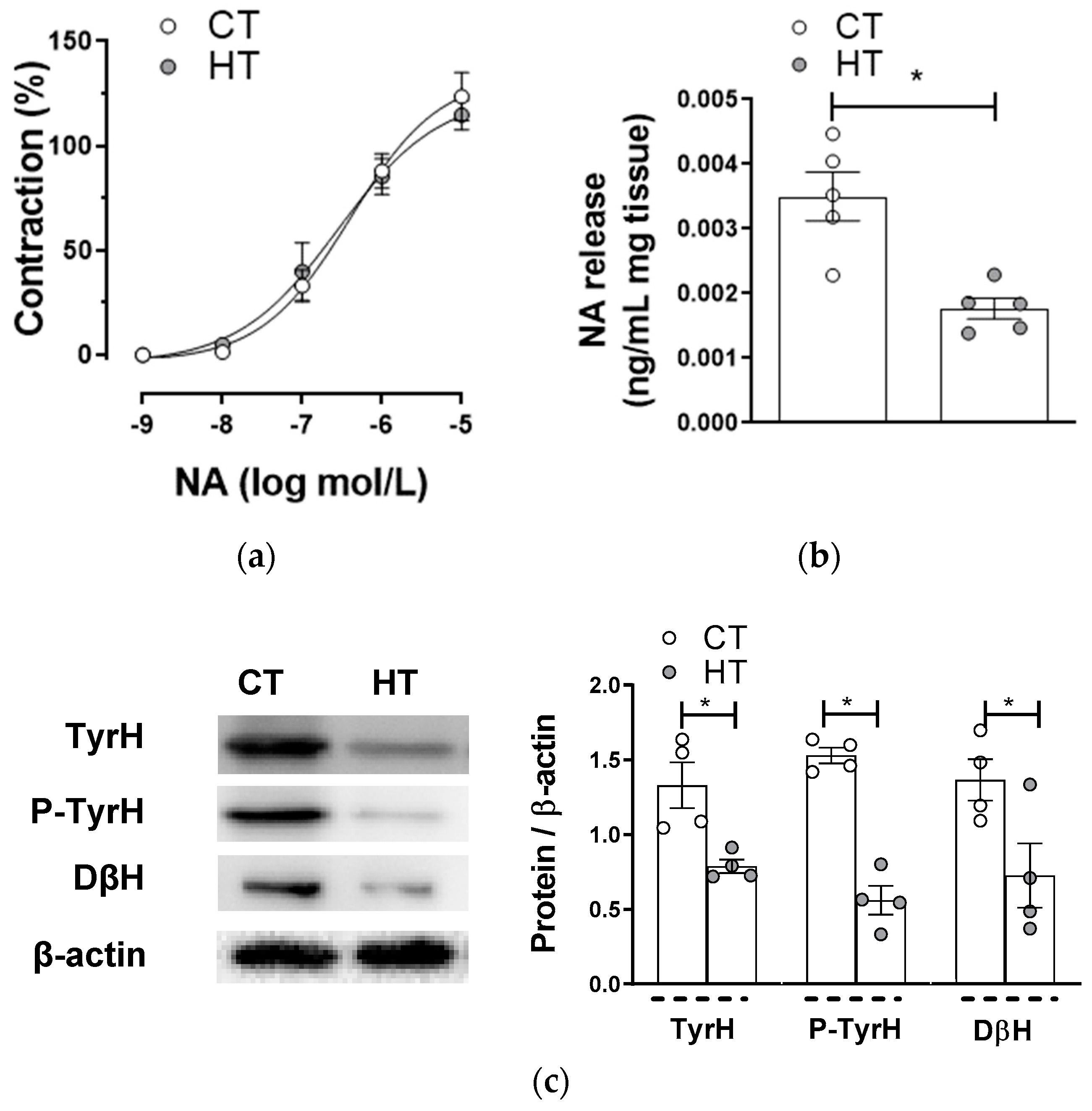 Ijms 22 00570 g003 Ijms 22 00570 g003