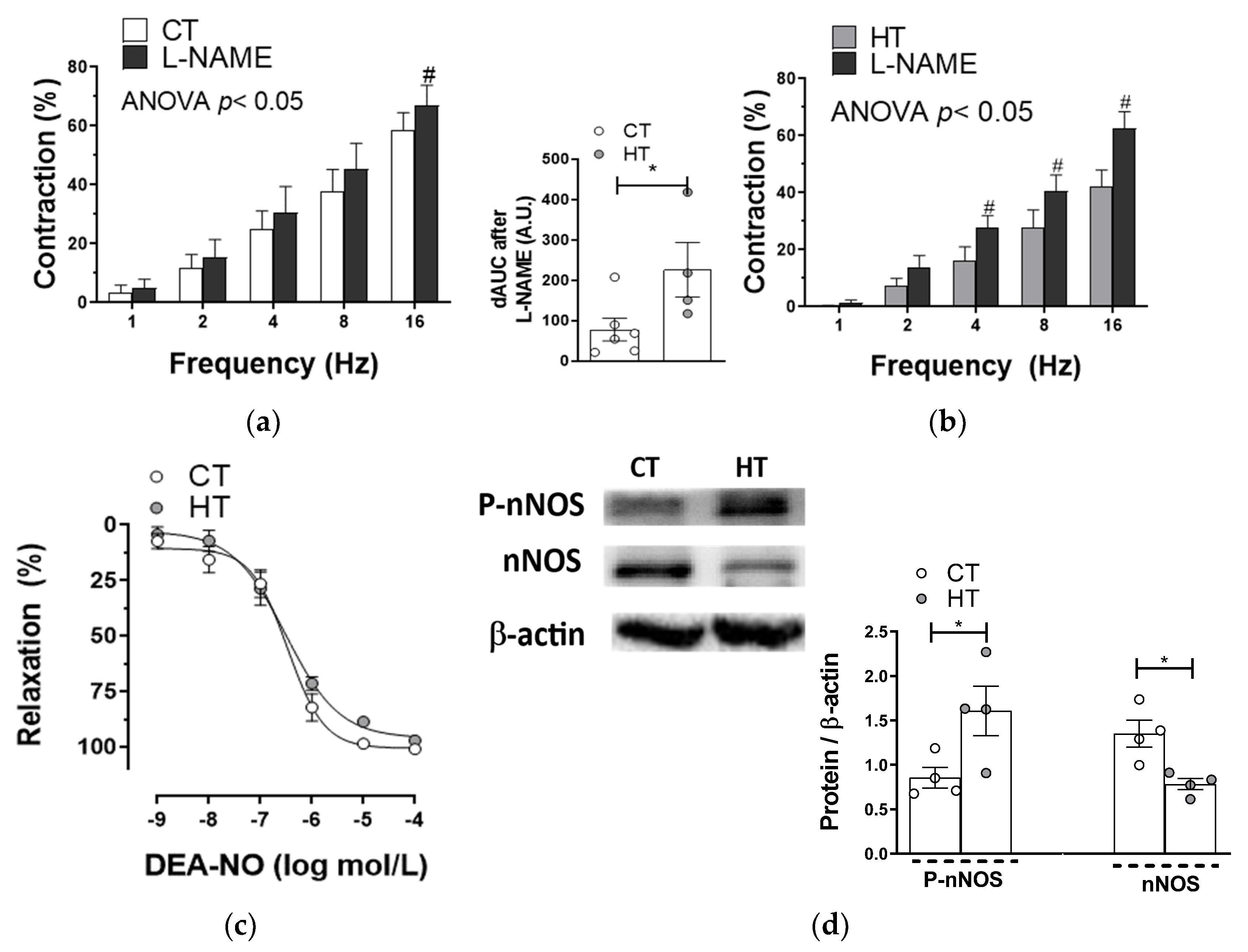 Ijms 22 00570 g005 Ijms 22 00570 g005