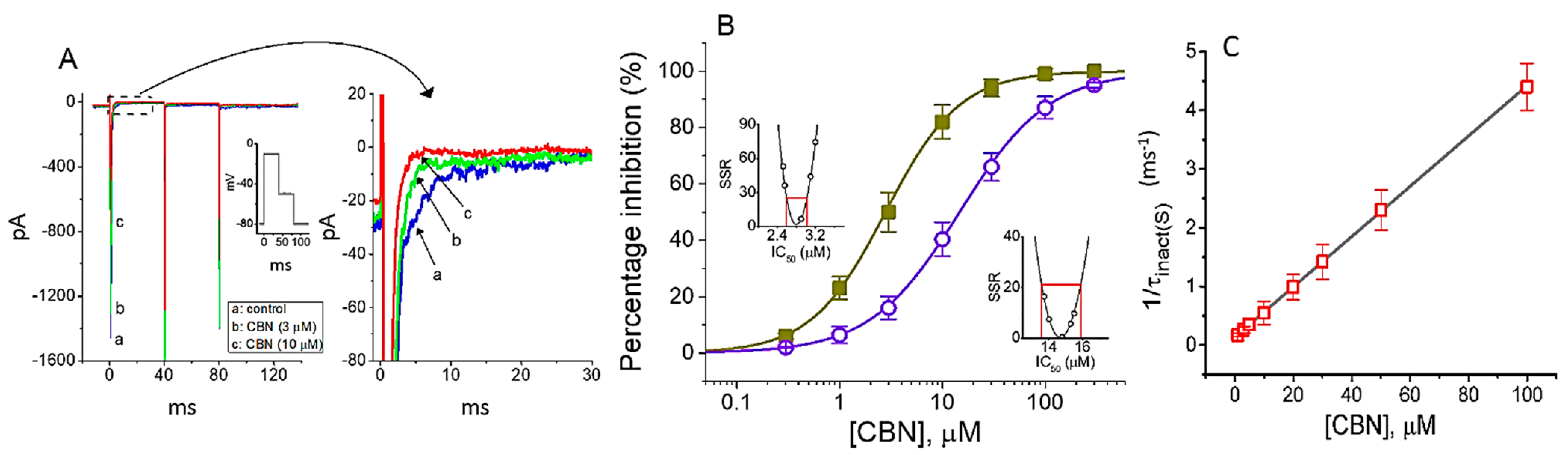 Ijms 22 00621 g001 Ijms 22 00621 g001