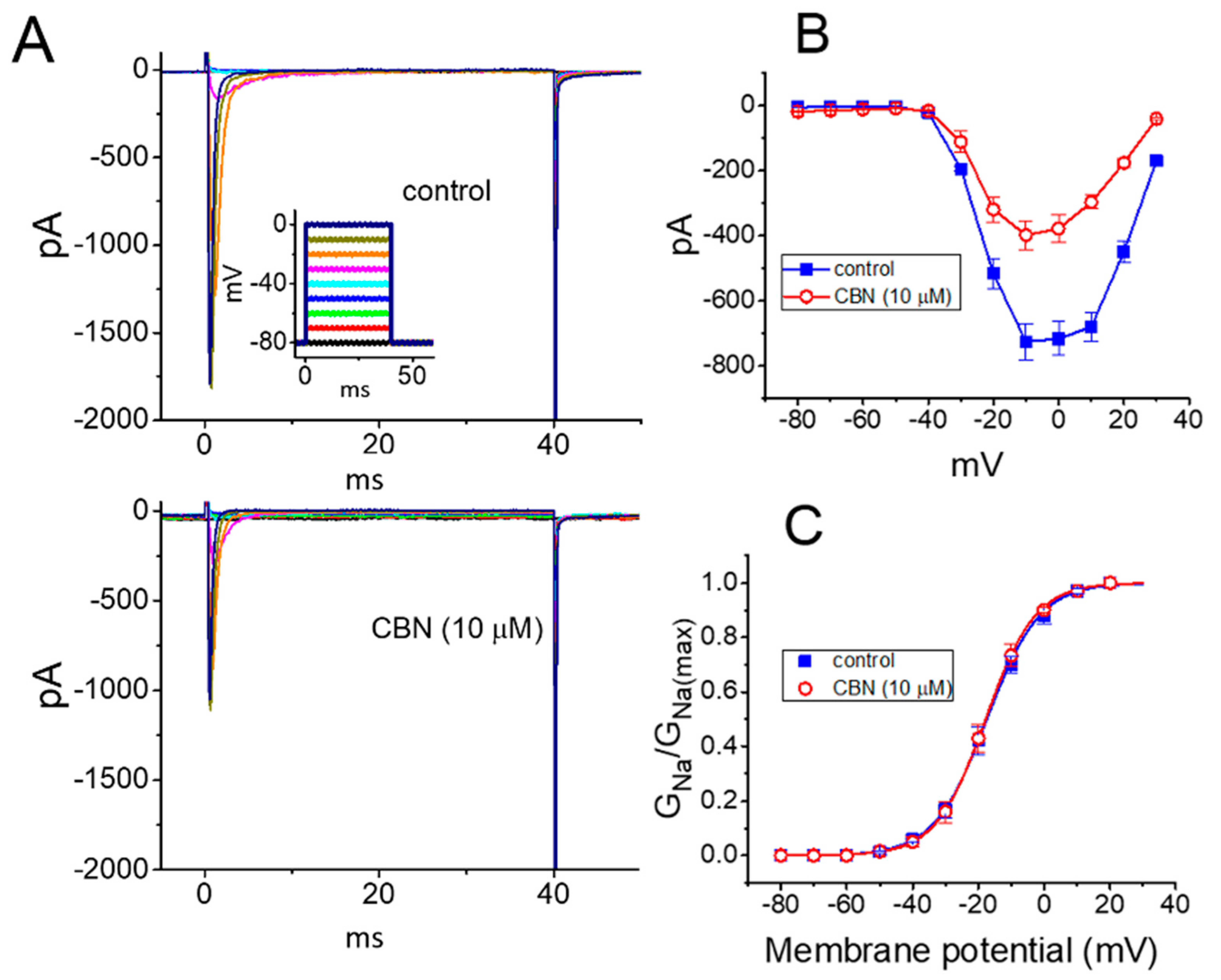 Ijms 22 00621 g003 Ijms 22 00621 g003