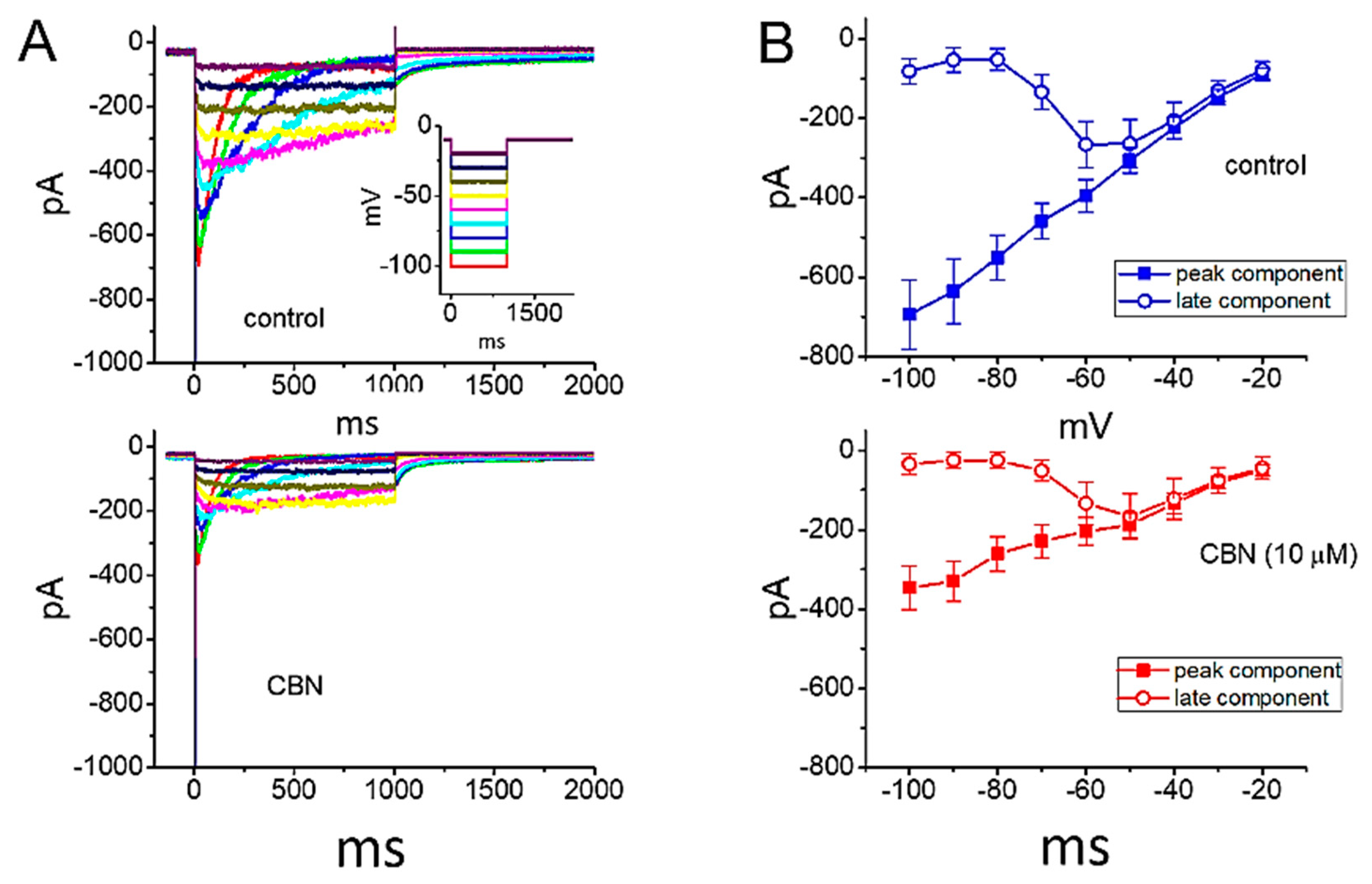 Ijms 22 00621 g006 Ijms 22 00621 g006