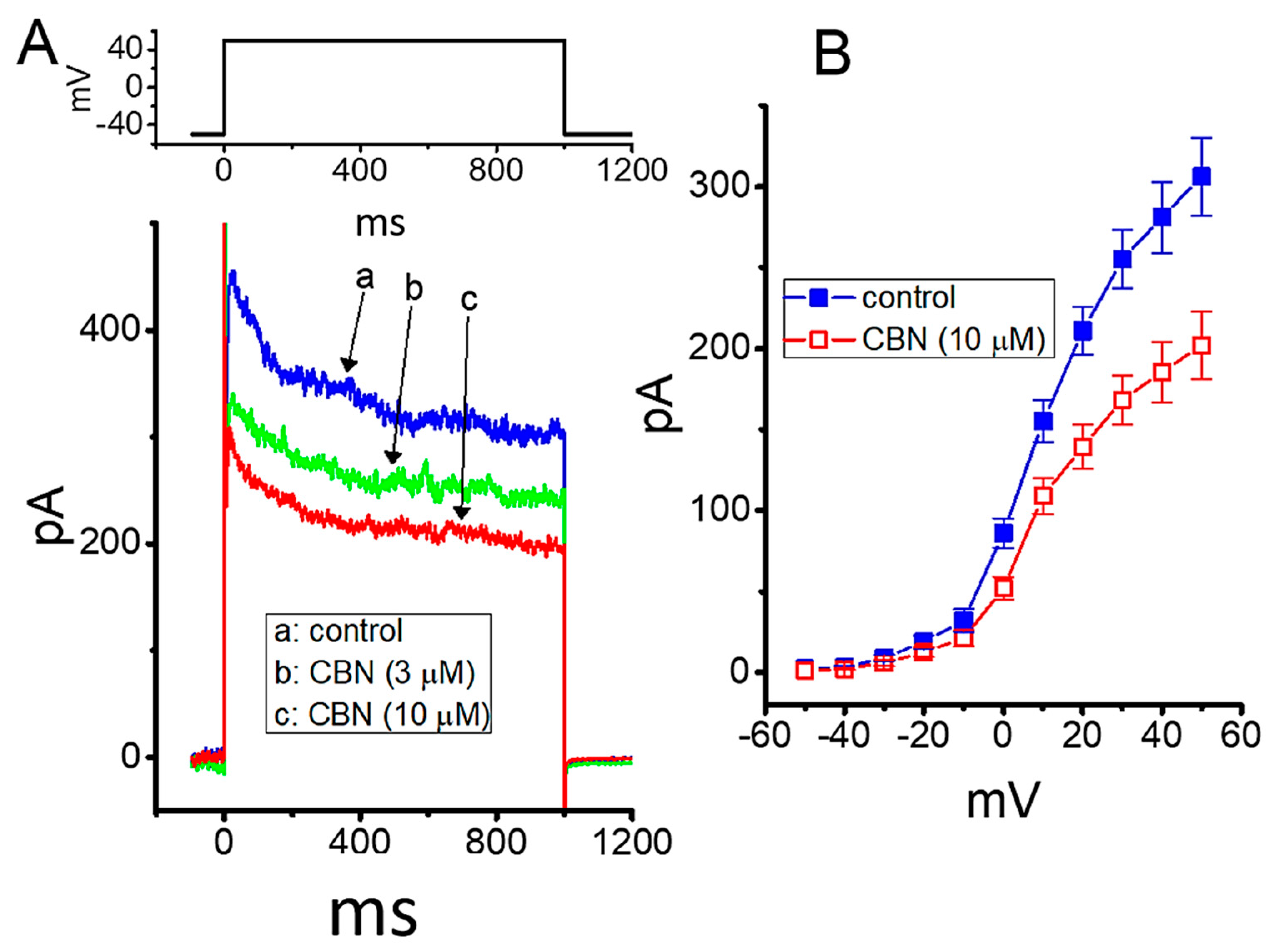 Ijms 22 00621 g007 Ijms 22 00621 g007