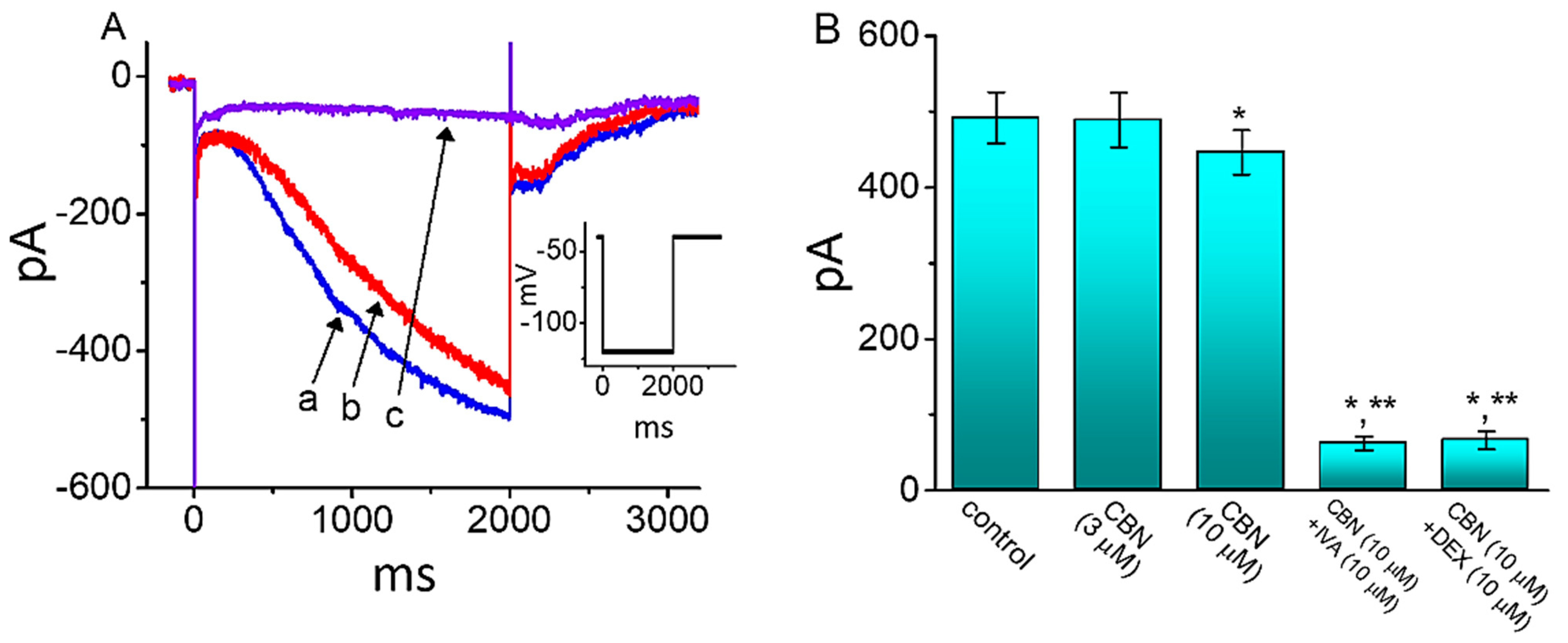 Ijms 22 00621 g008 Ijms 22 00621 g008
