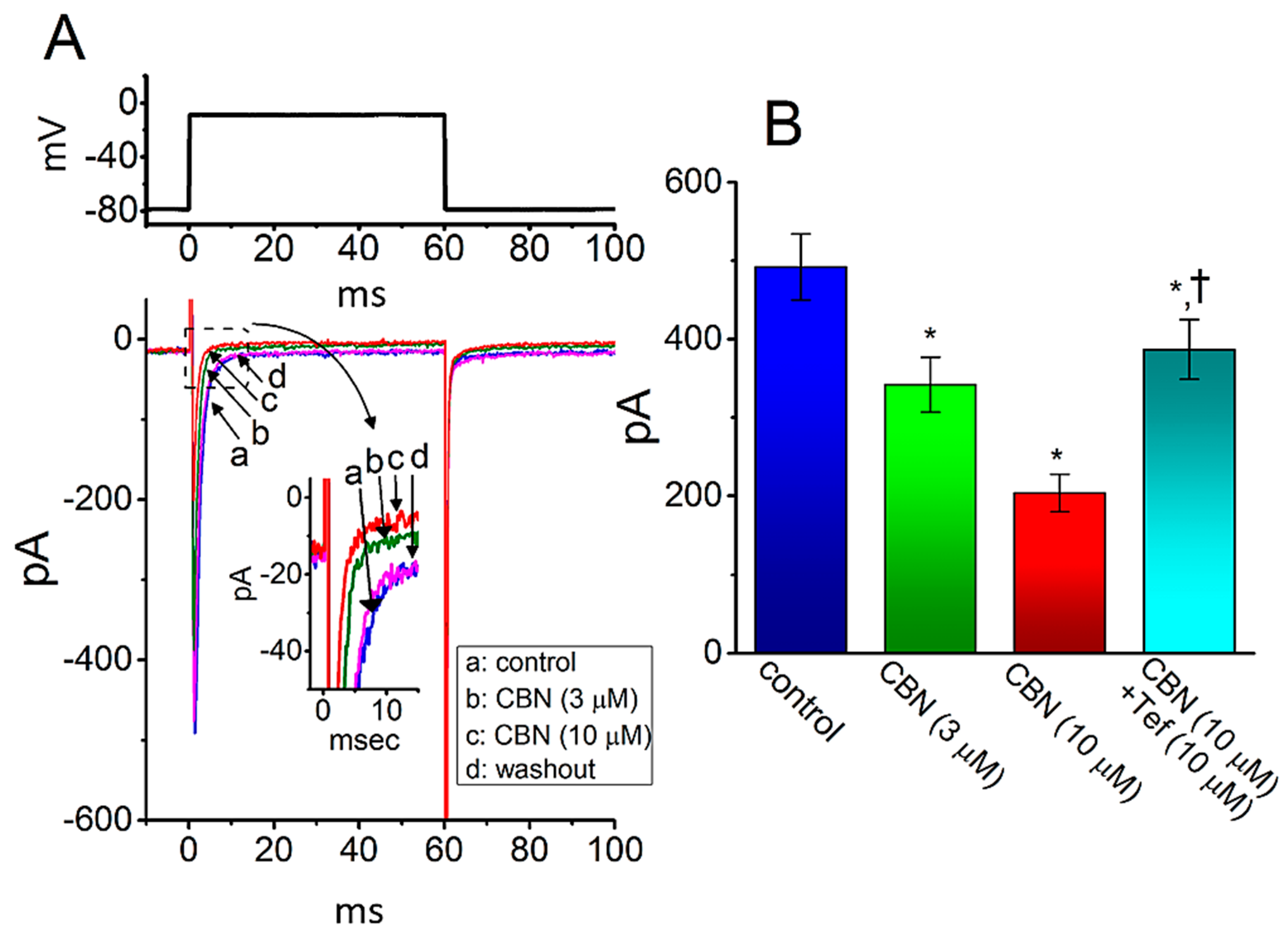Ijms 22 00621 g009 Ijms 22 00621 g009