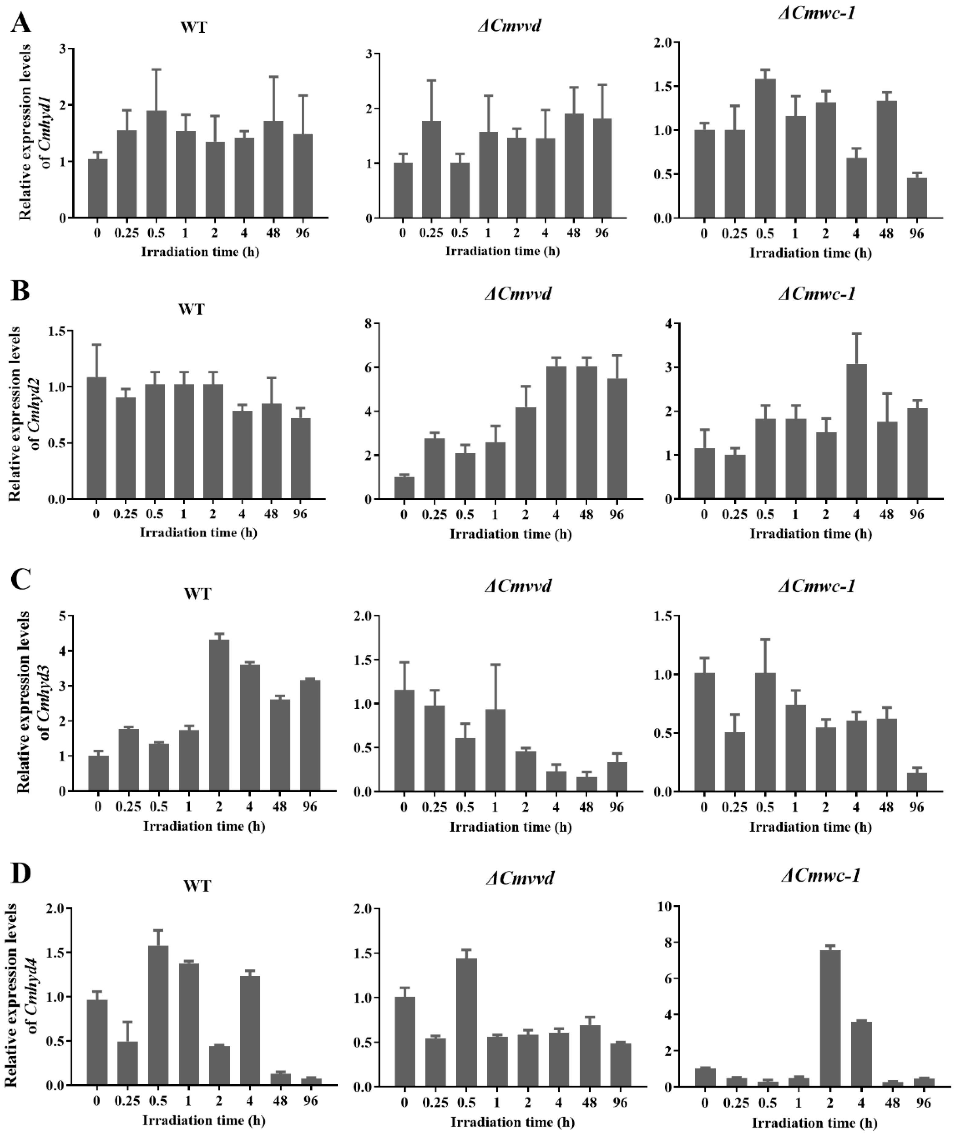 Ijms 22 00643 g004 Ijms 22 00643 g004