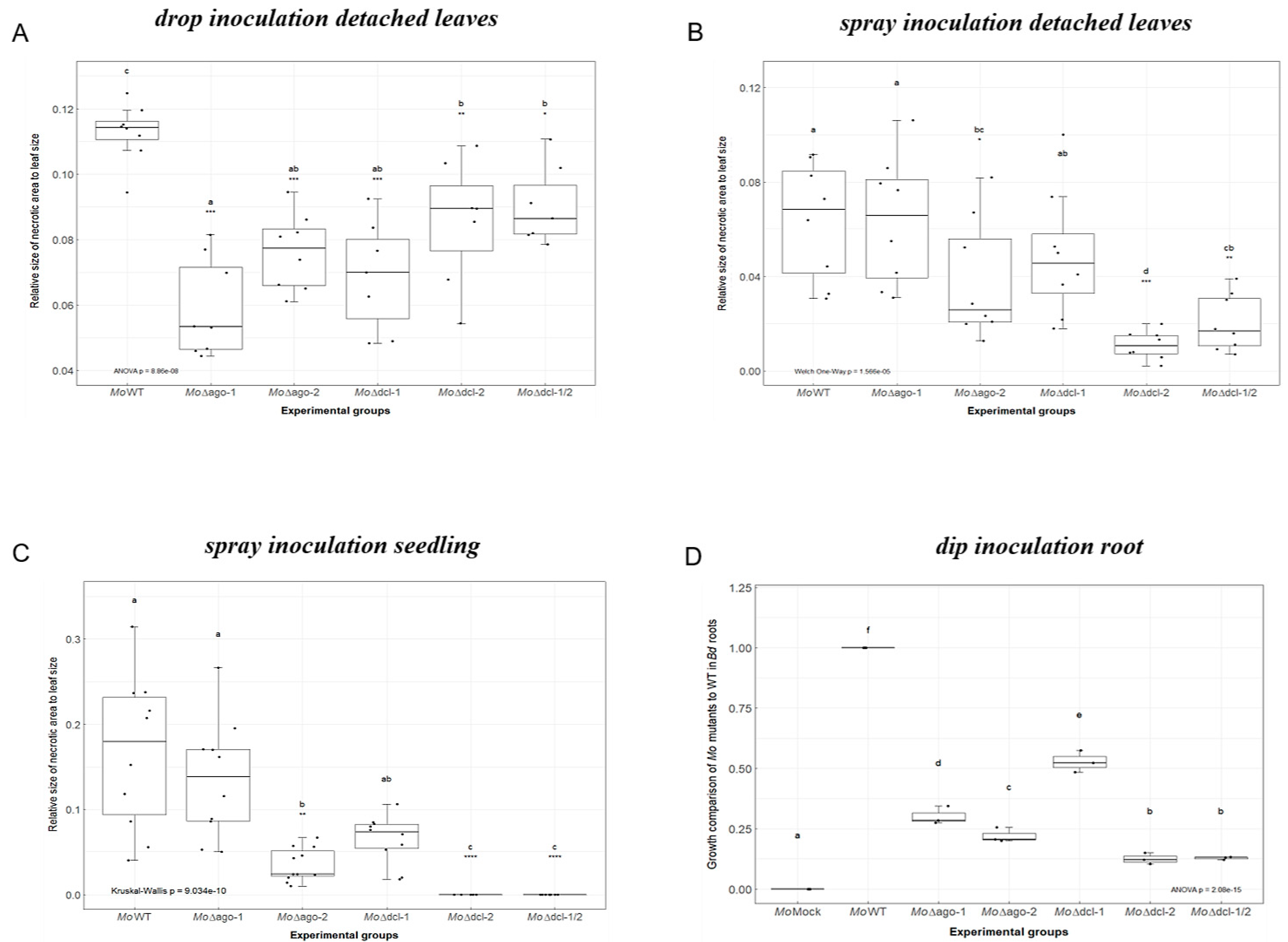 Ijms 22 00650 g002 Ijms 22 00650 g002