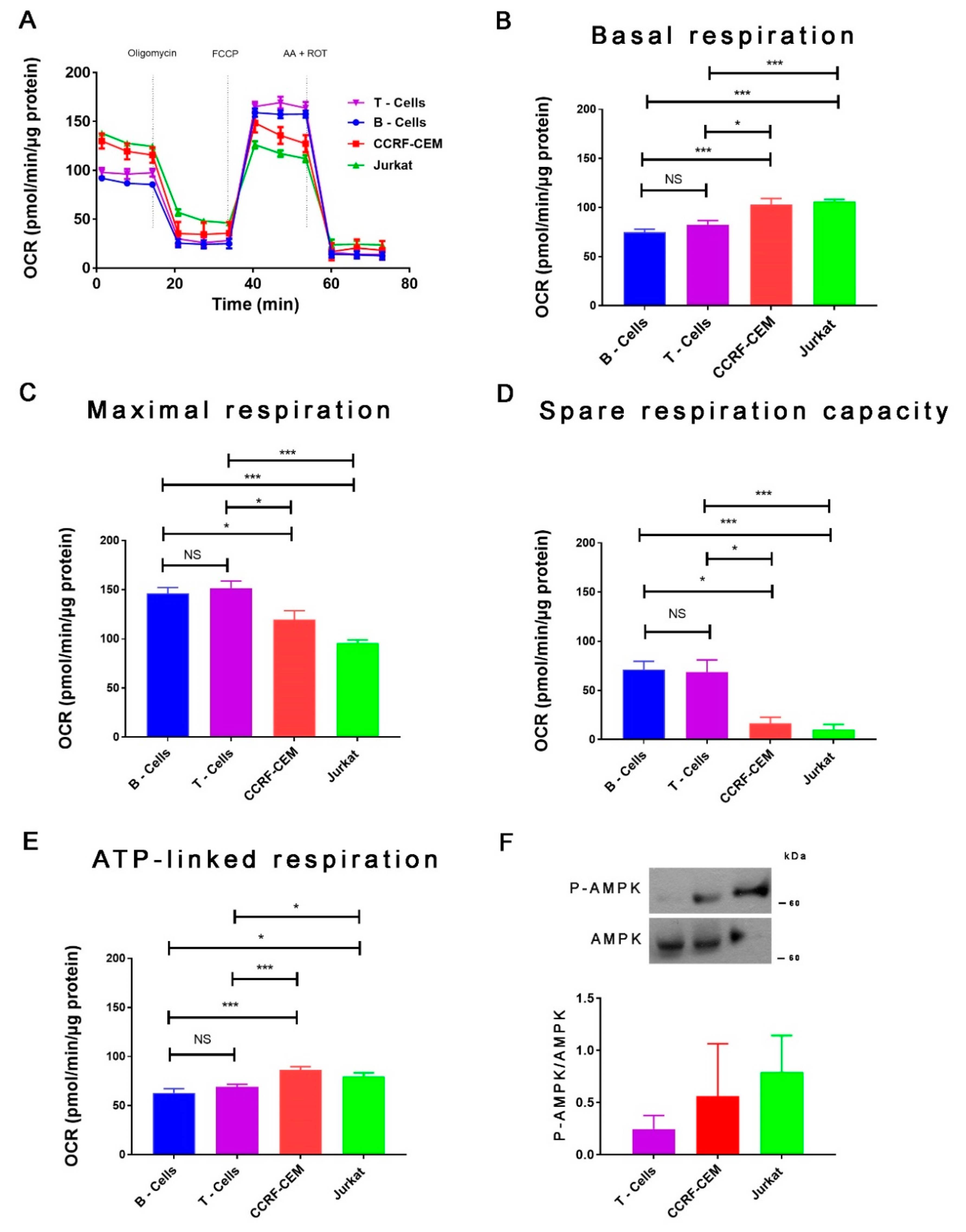 Ijms 22 00651 g001 Ijms 22 00651 g001
