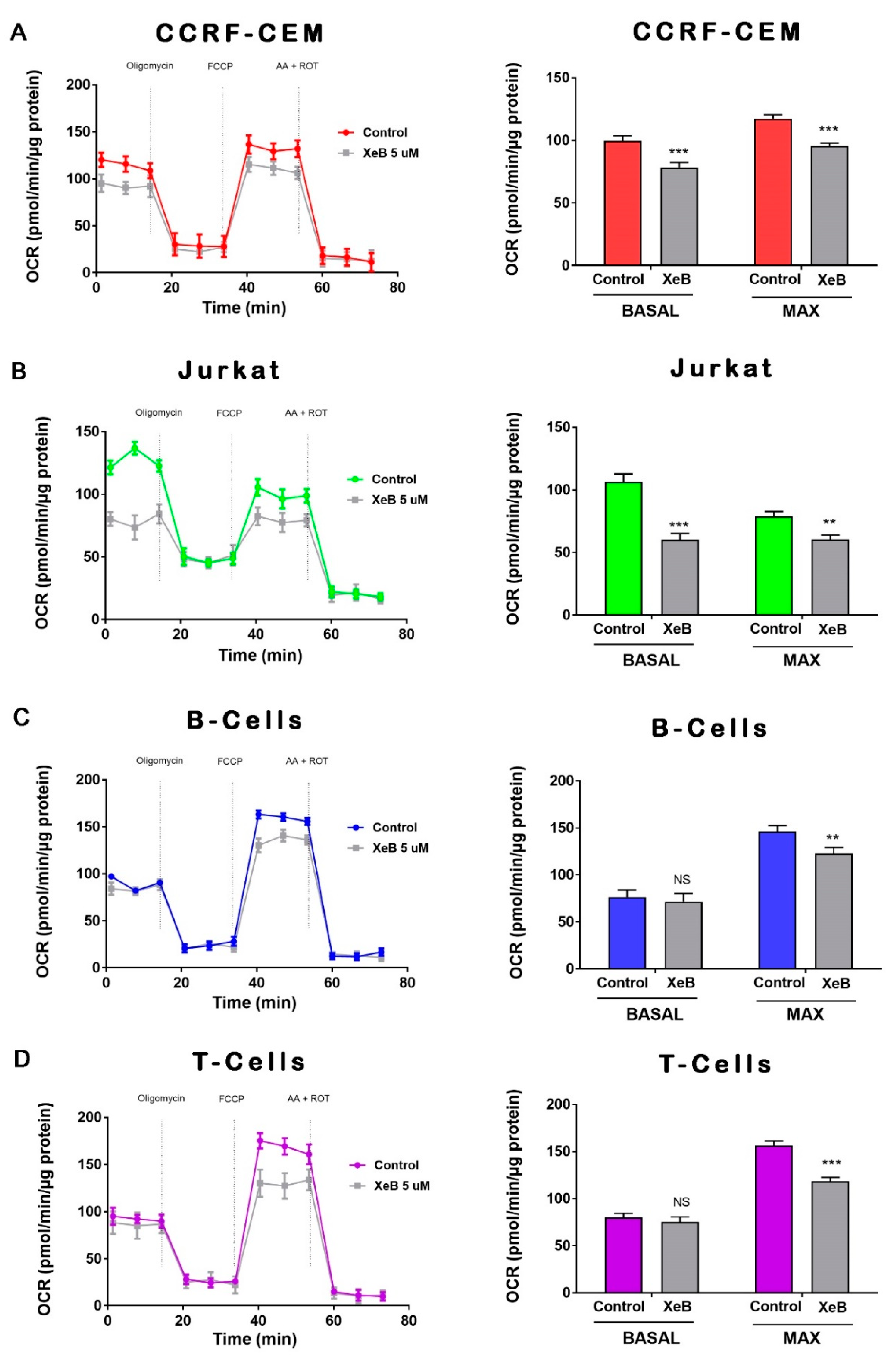 Ijms 22 00651 g004 Ijms 22 00651 g004