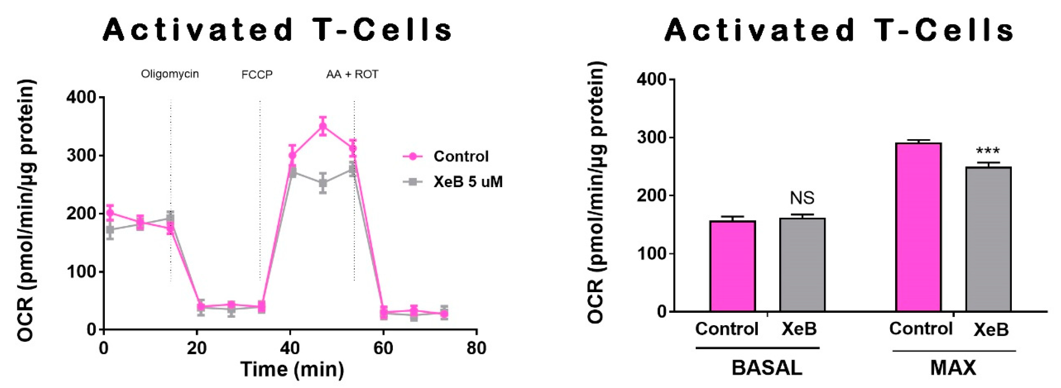 Ijms 22 00651 g006 Ijms 22 00651 g006