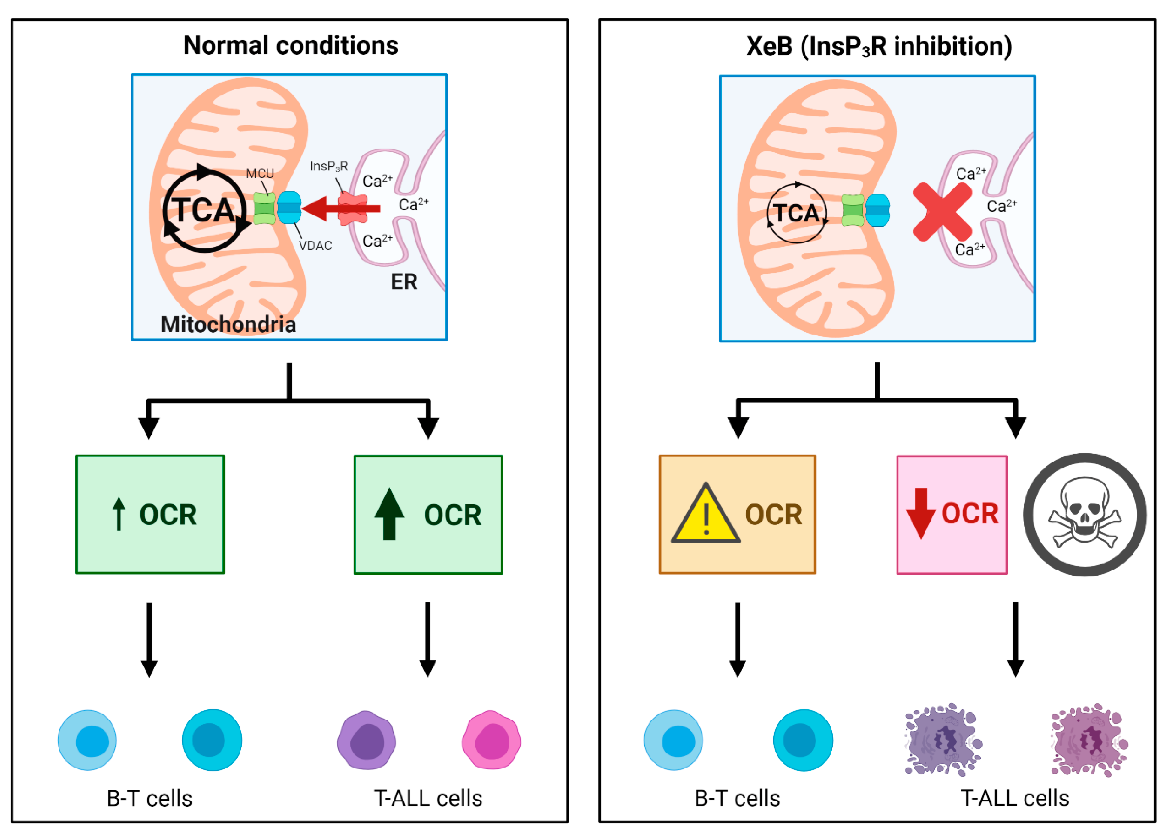 Ijms 22 00651 g009 Ijms 22 00651 g009