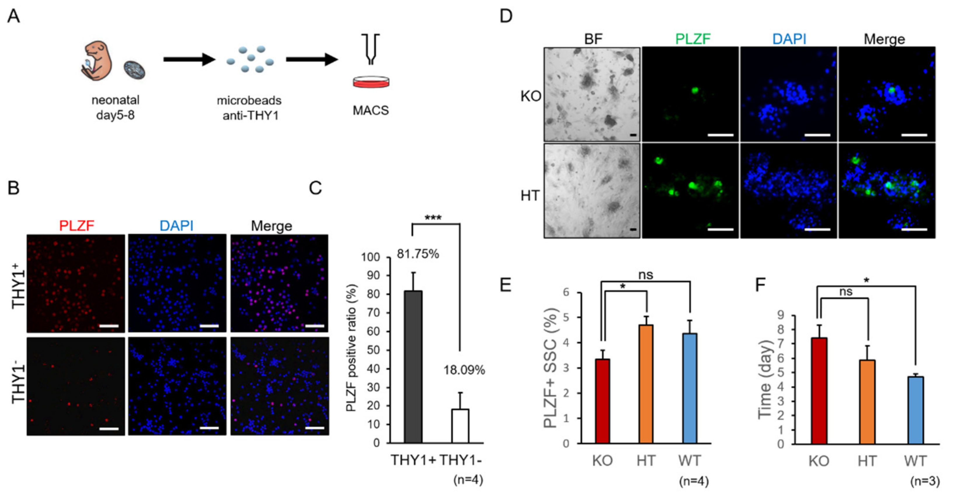 Ijms 22 00661 g001 Ijms 22 00661 g001