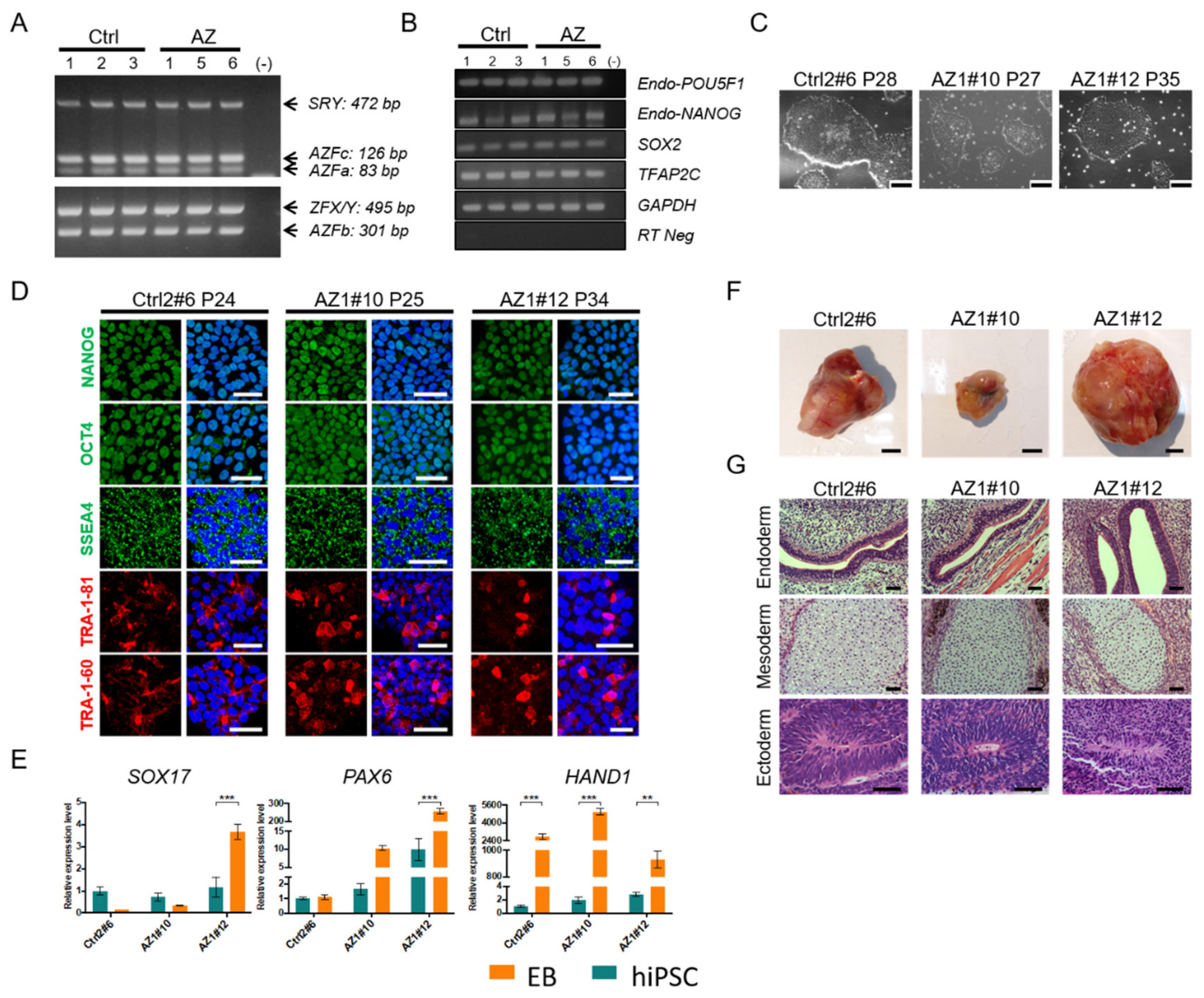 Ijms 22 00661 g003 Ijms 22 00661 g003
