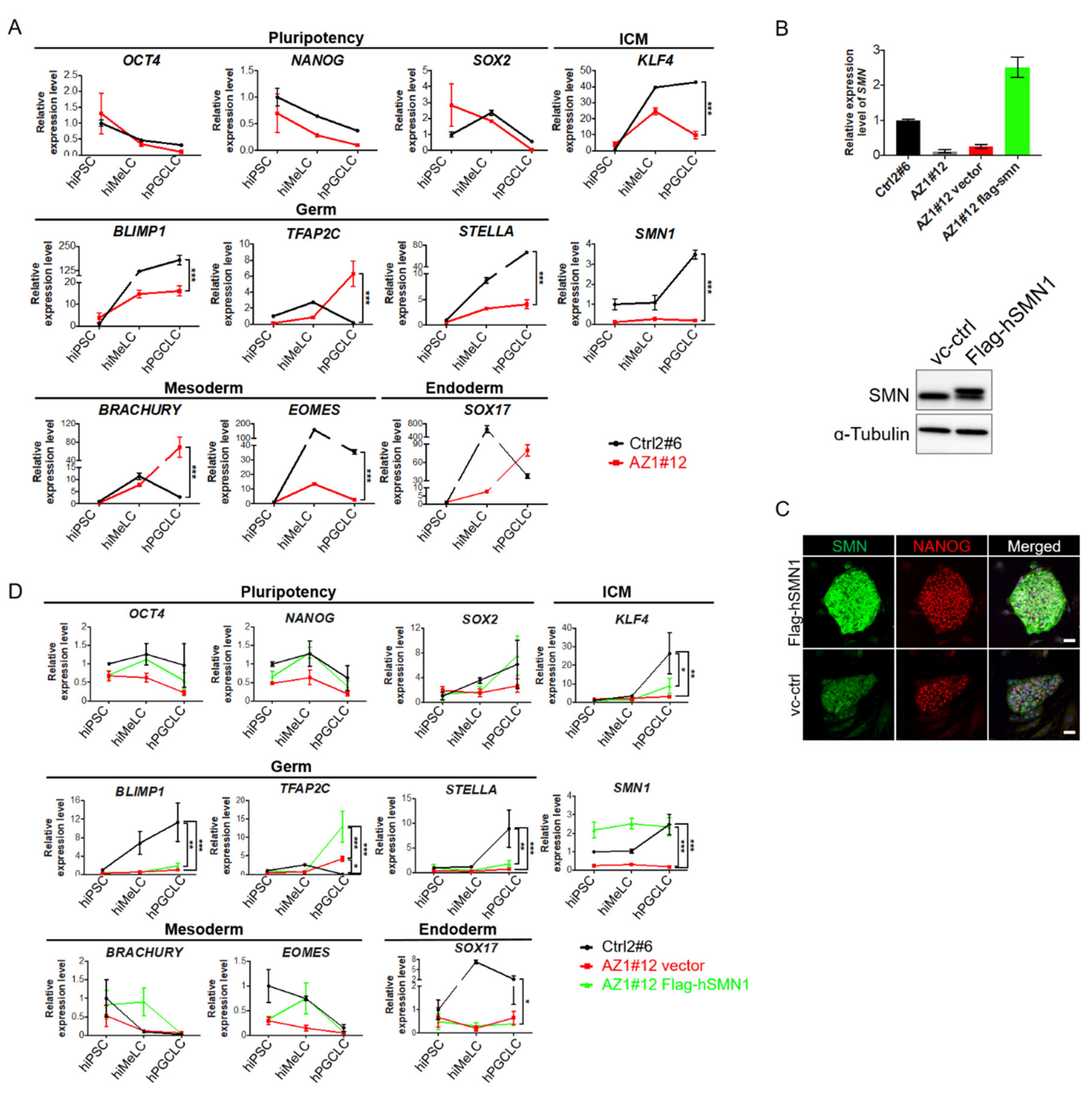 Ijms 22 00661 g004 Ijms 22 00661 g004