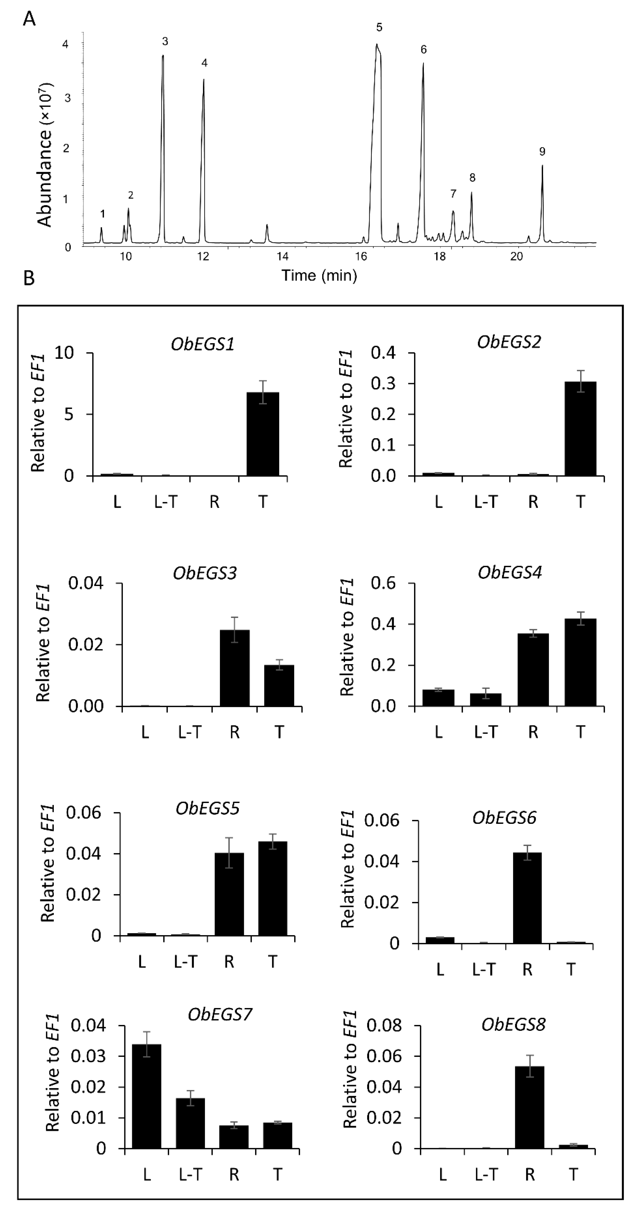 IJMS Free Full Text Sweet Basil Has Distinct Synthases for