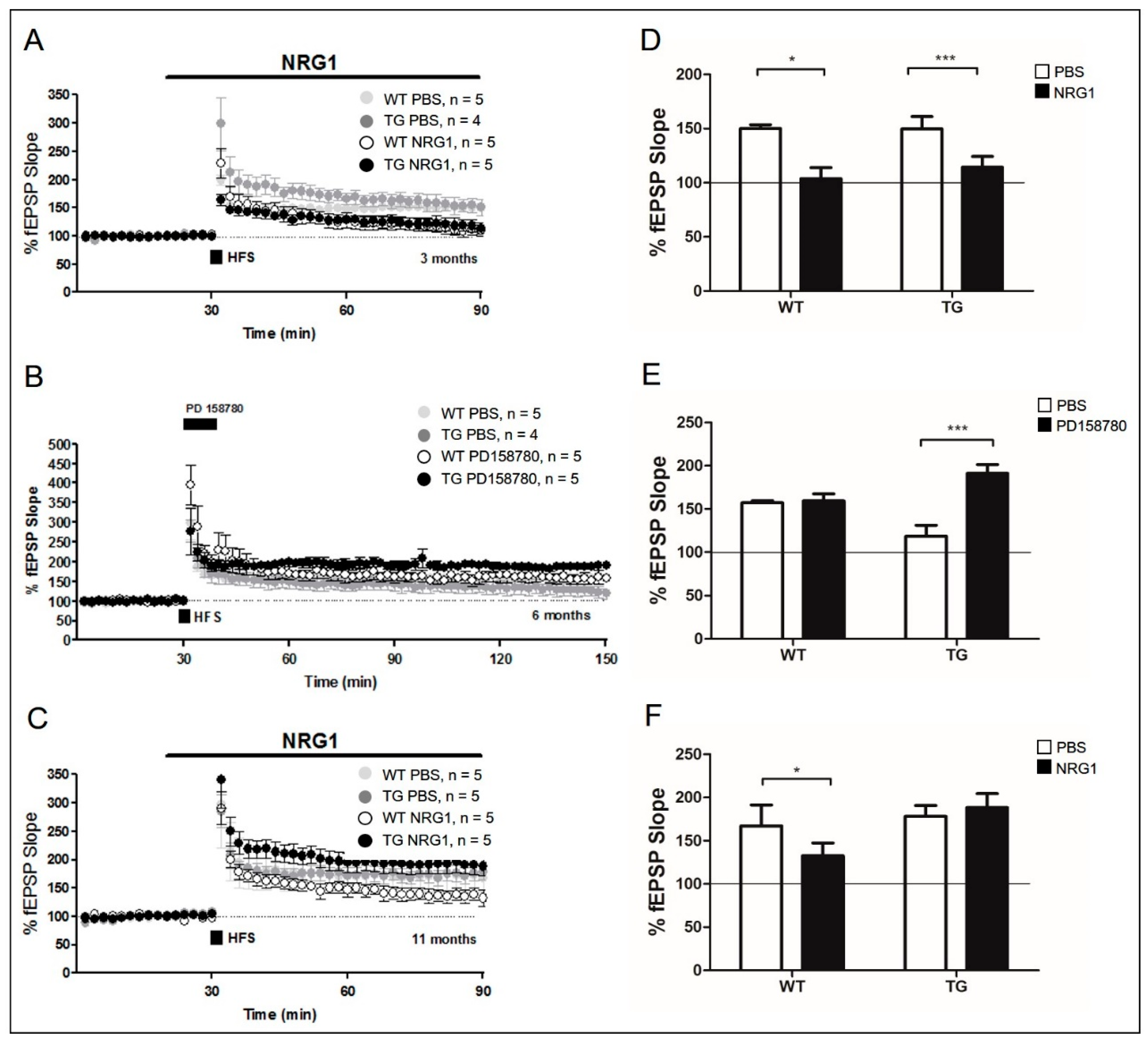 Ijms 22 00698 g003 Ijms 22 00698 g003