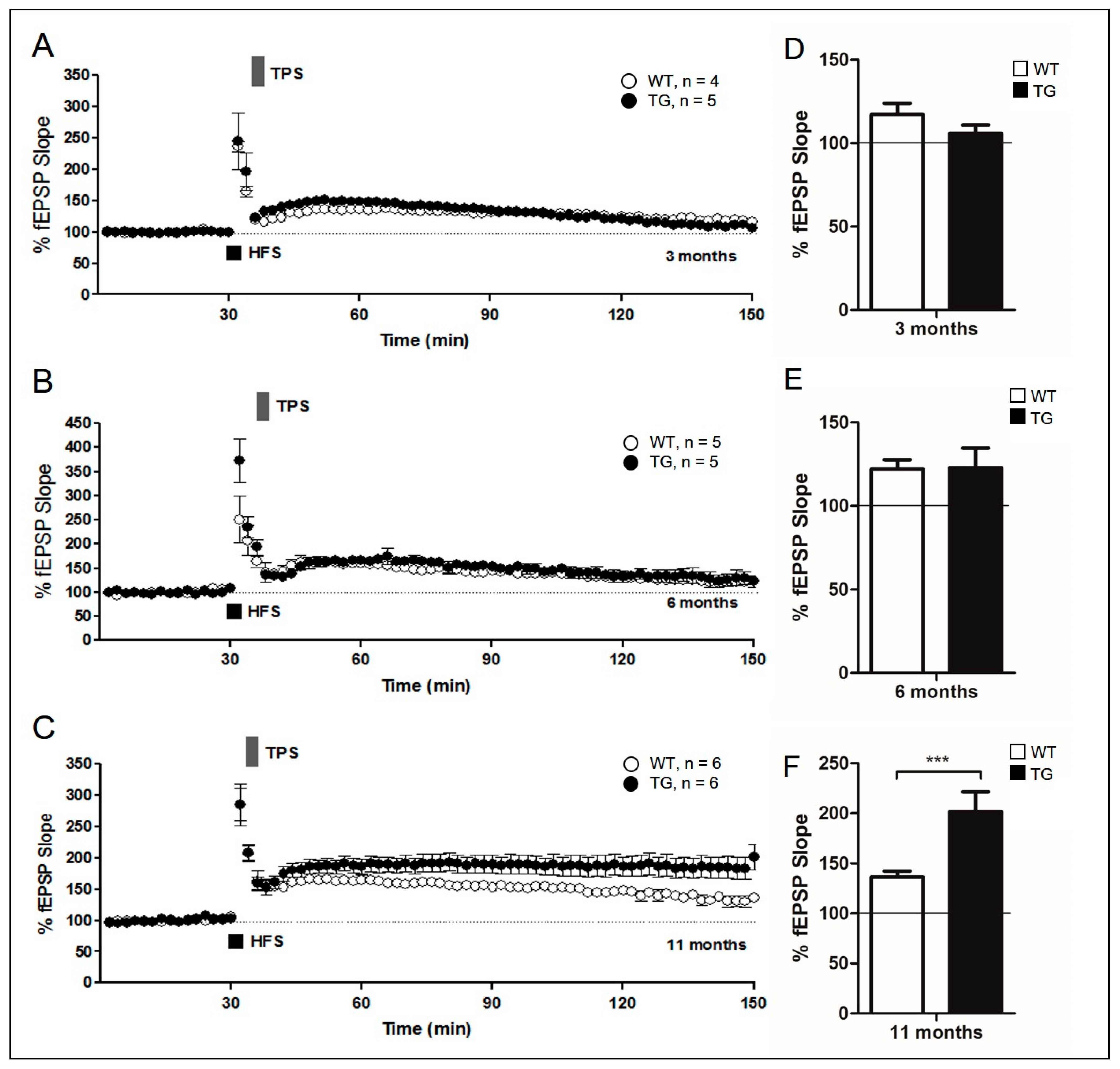 Ijms 22 00698 g004 Ijms 22 00698 g004