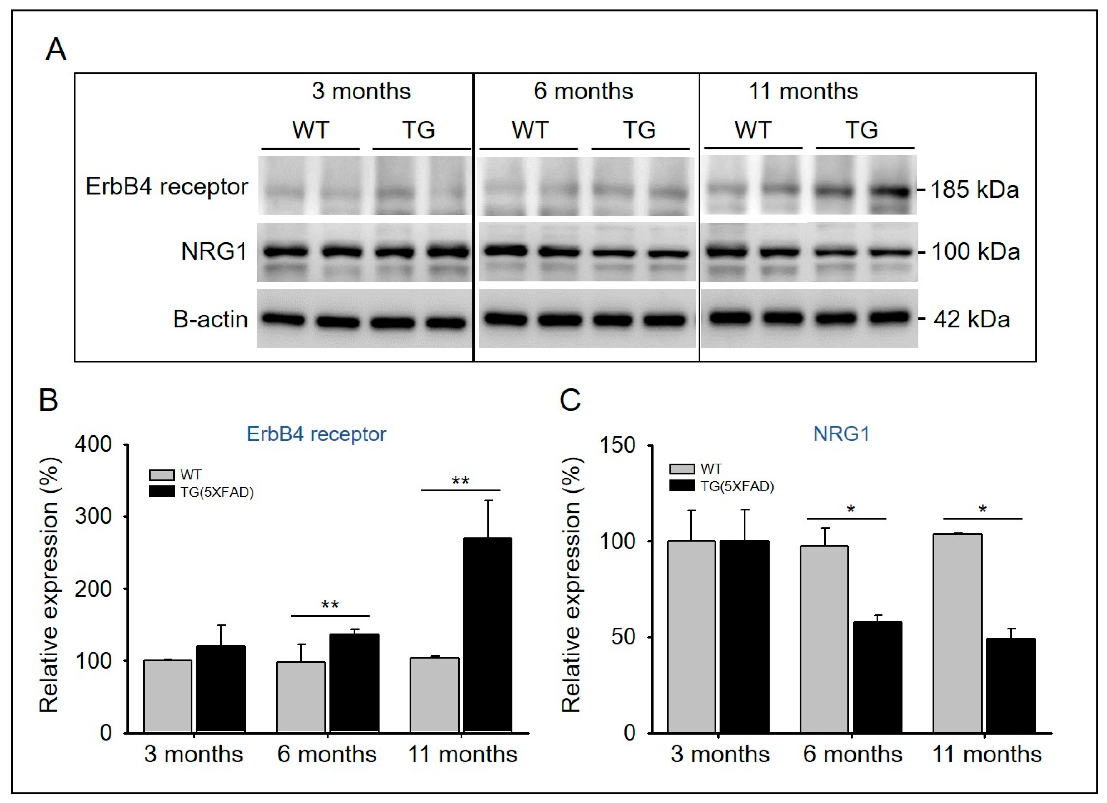 Ijms 22 00698 g005 Ijms 22 00698 g005