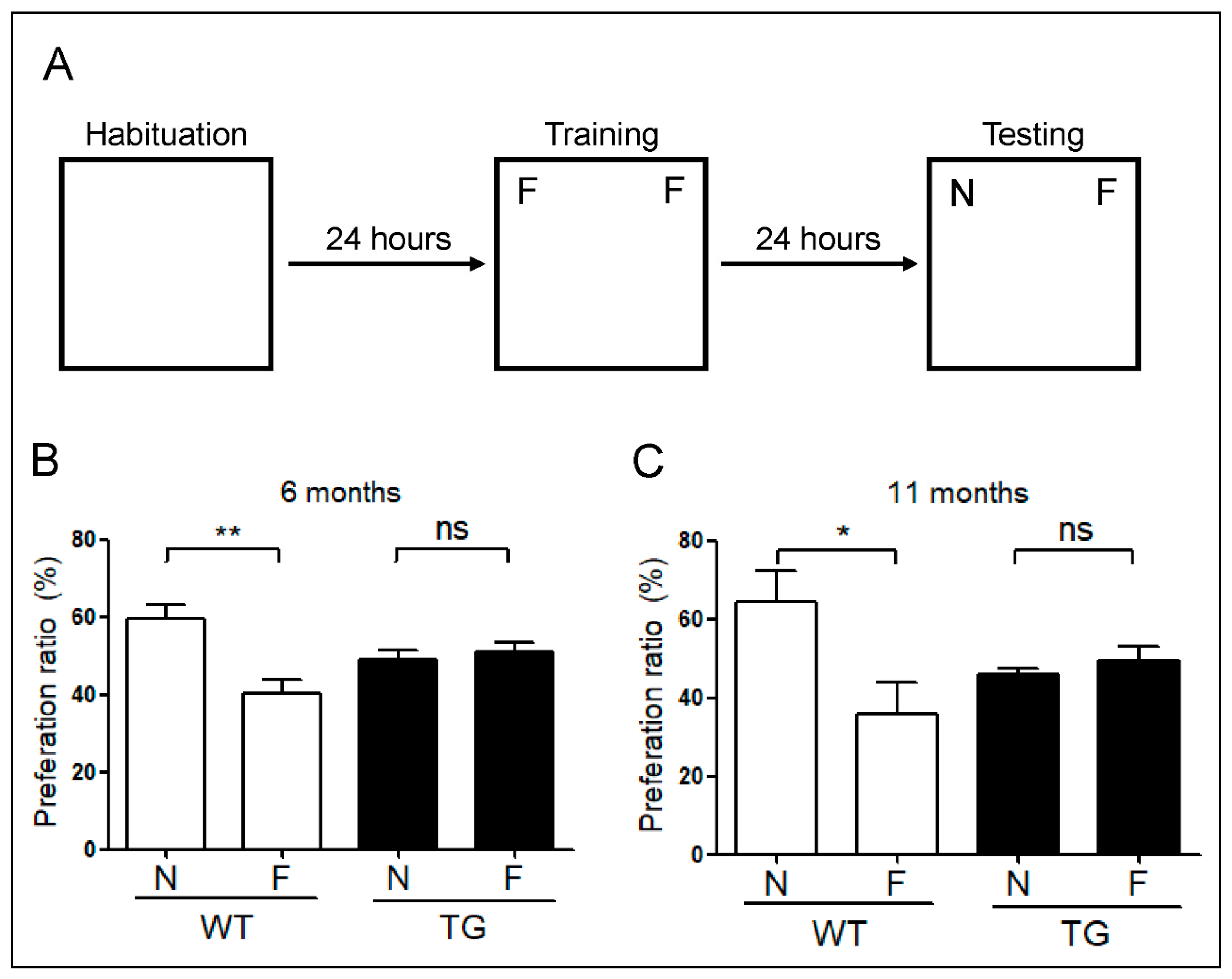 Ijms 22 00698 g006 Ijms 22 00698 g006