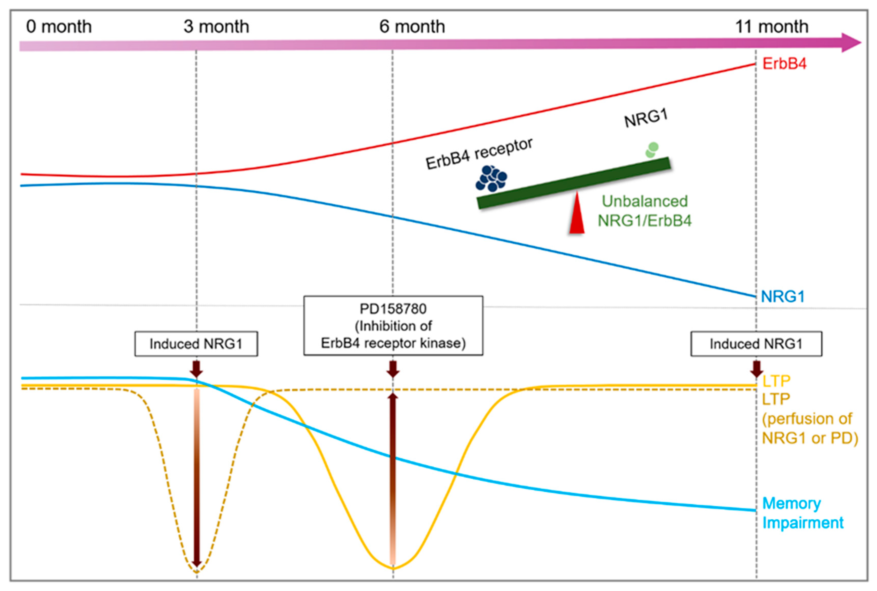 Ijms 22 00698 g007 Ijms 22 00698 g007