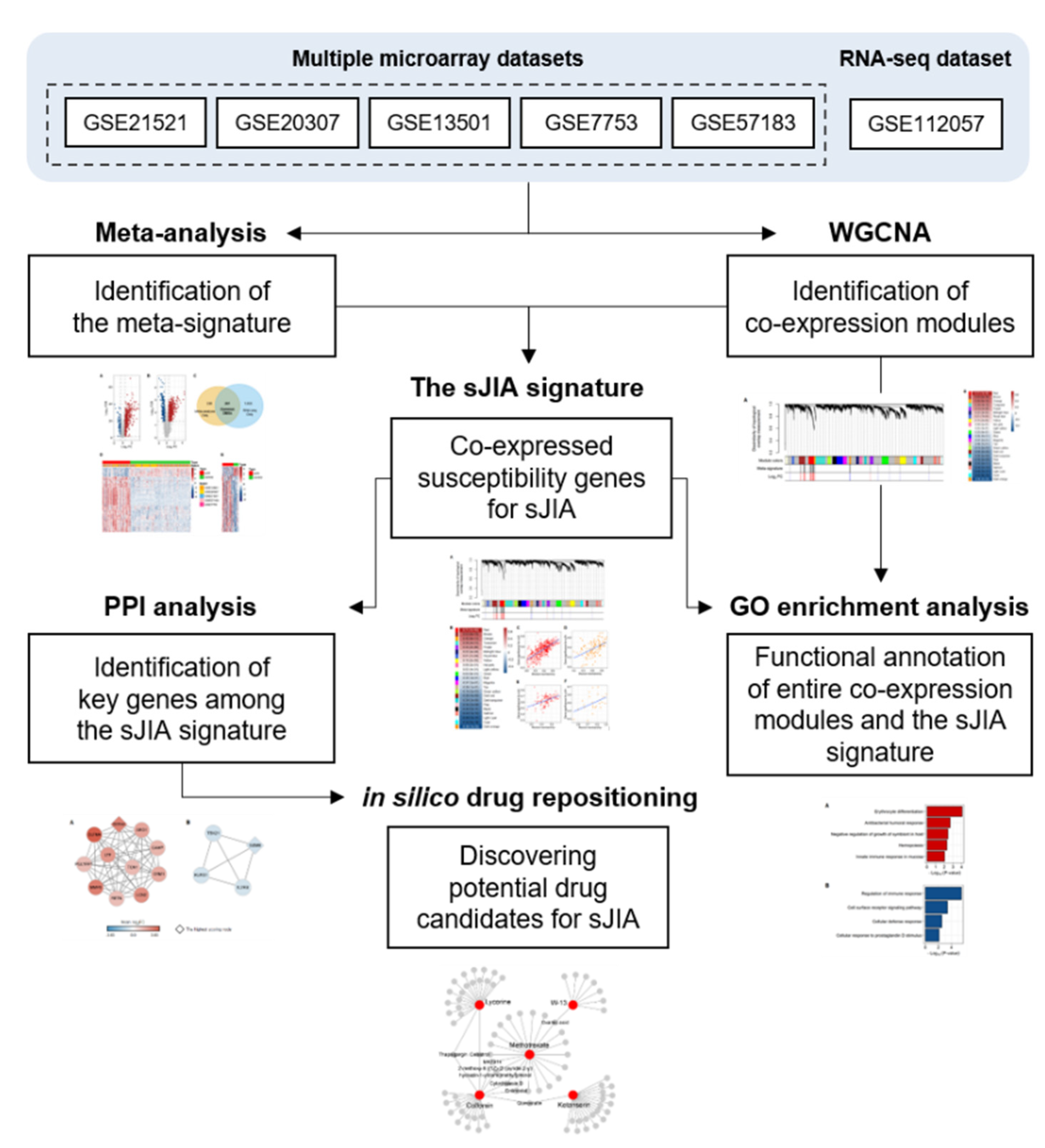Ijms 22 00712 g006 Ijms 22 00712 g006