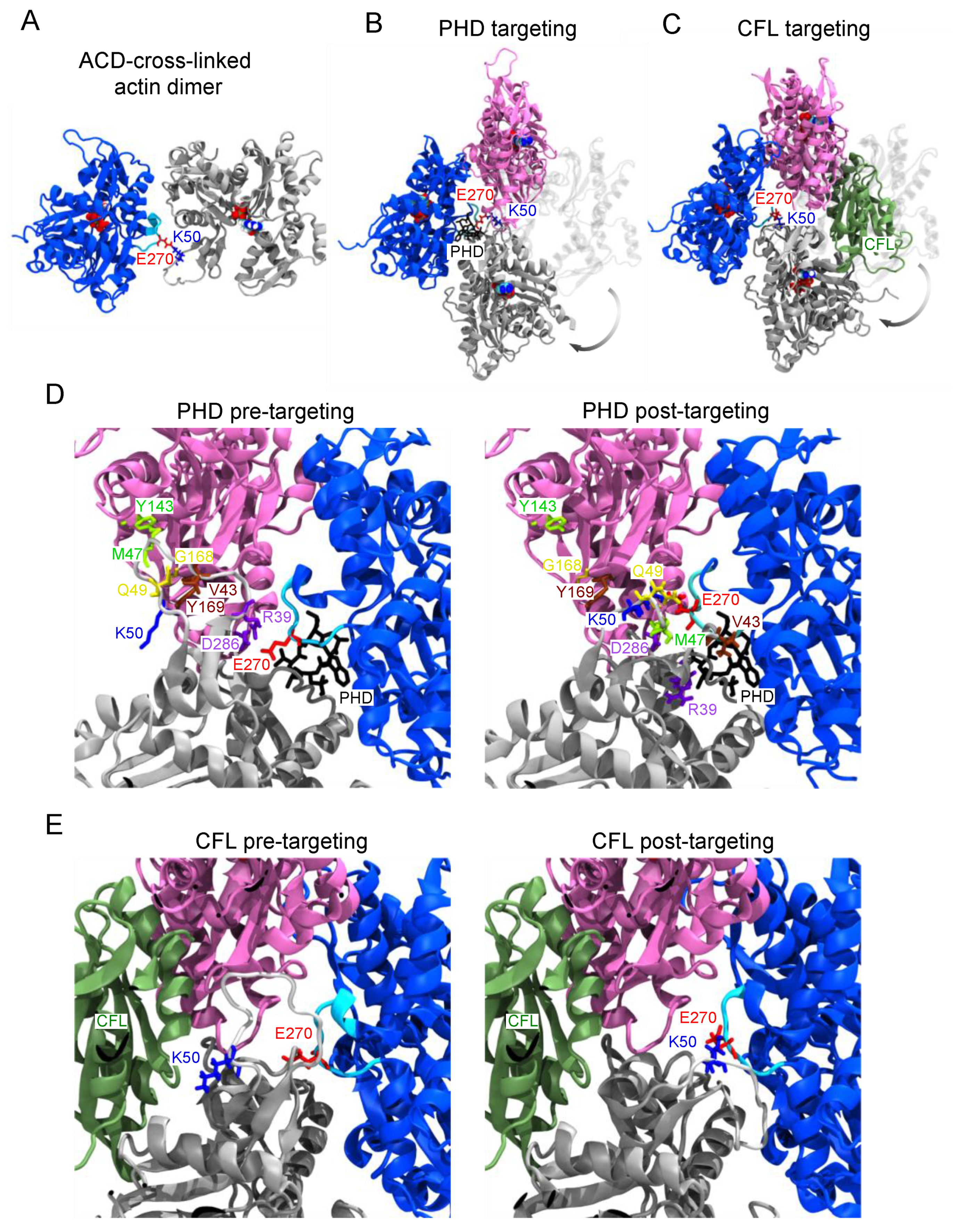 Ijms 22 00718 g003 Ijms 22 00718 g003