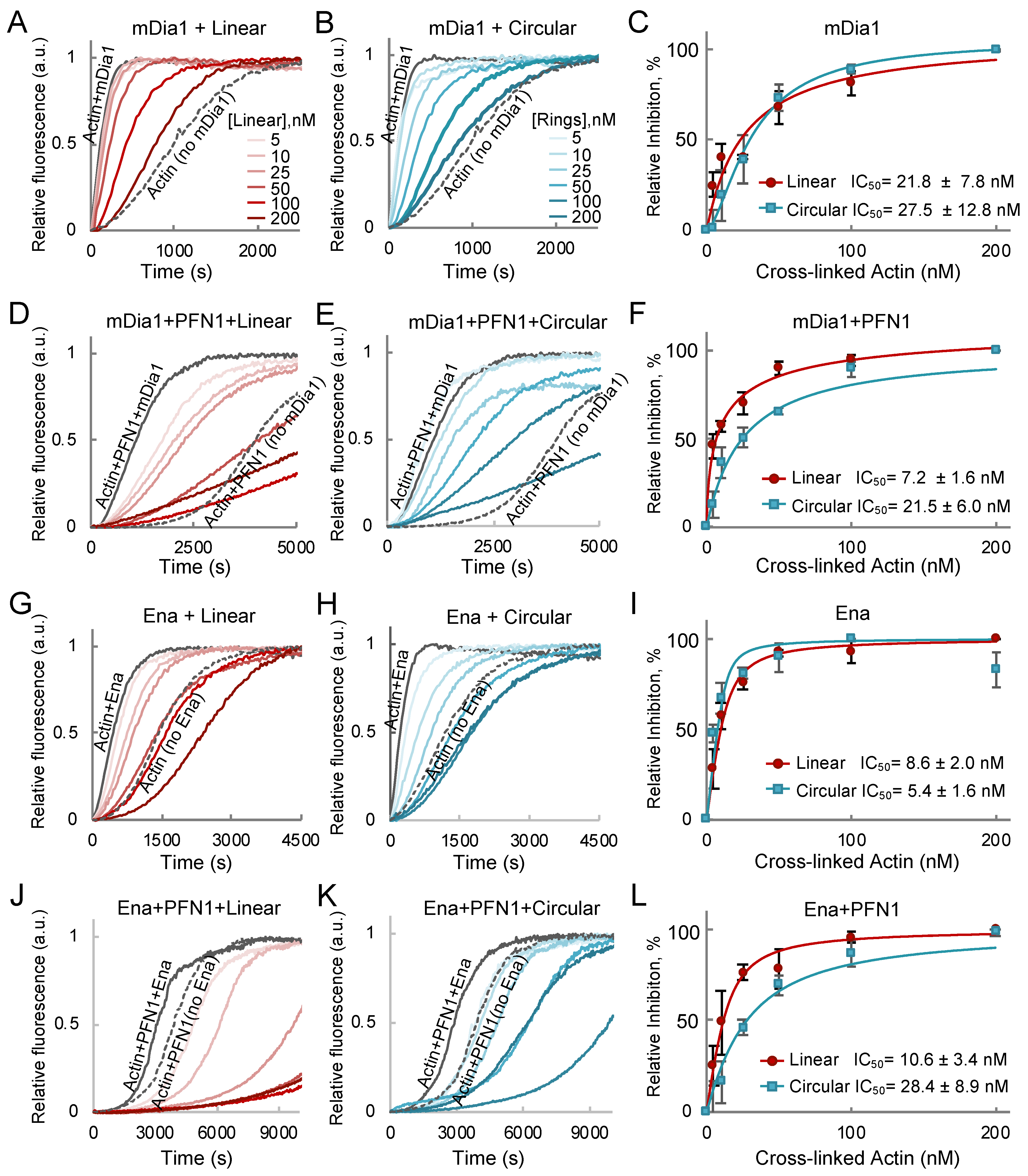 Ijms 22 00718 g004 Ijms 22 00718 g004