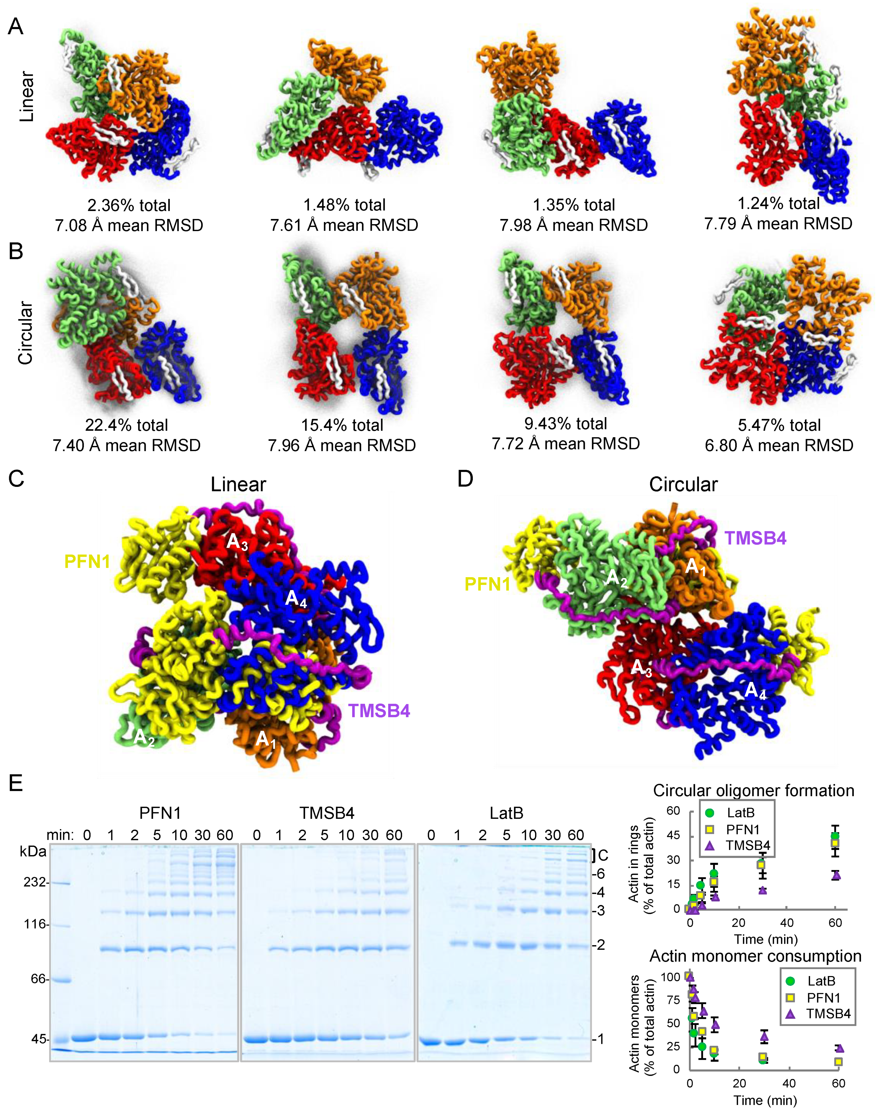 Ijms 22 00718 g005 Ijms 22 00718 g005