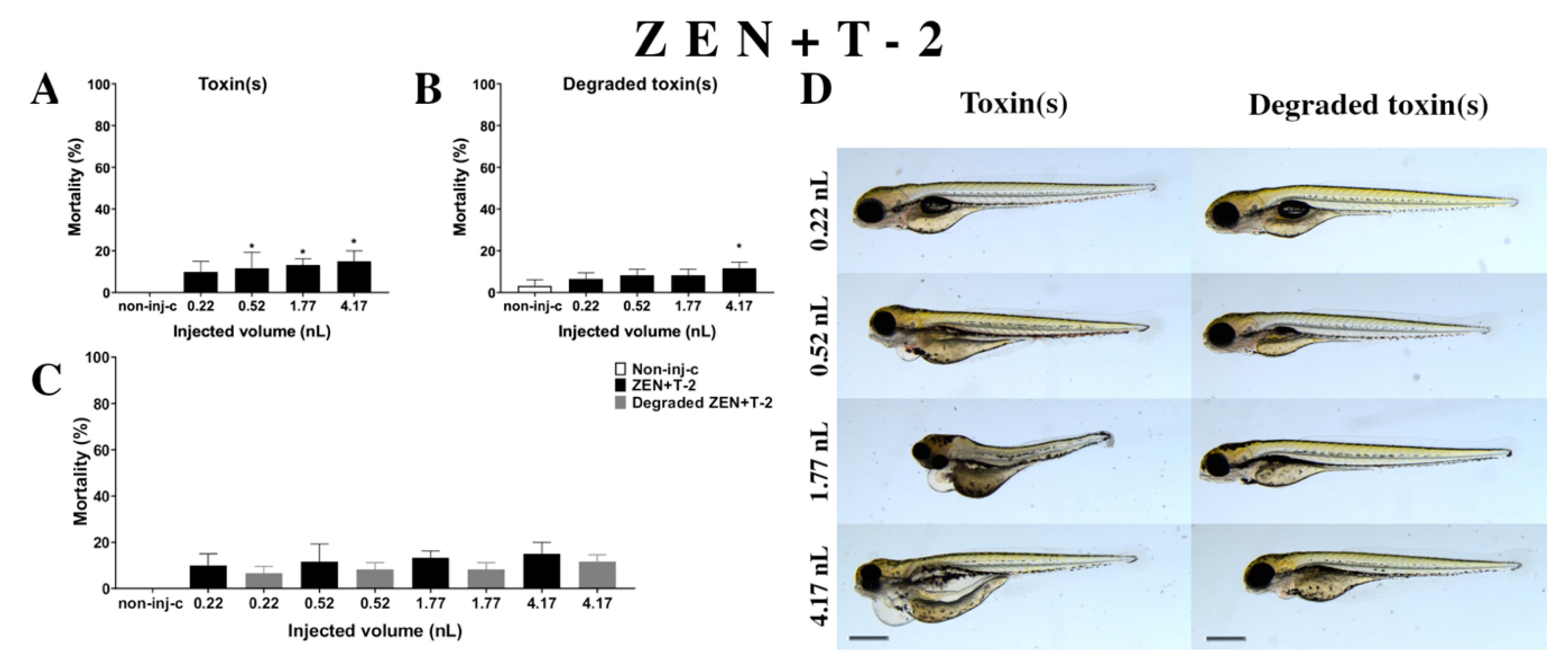 Ijms 22 00724 g007 Ijms 22 00724 g007