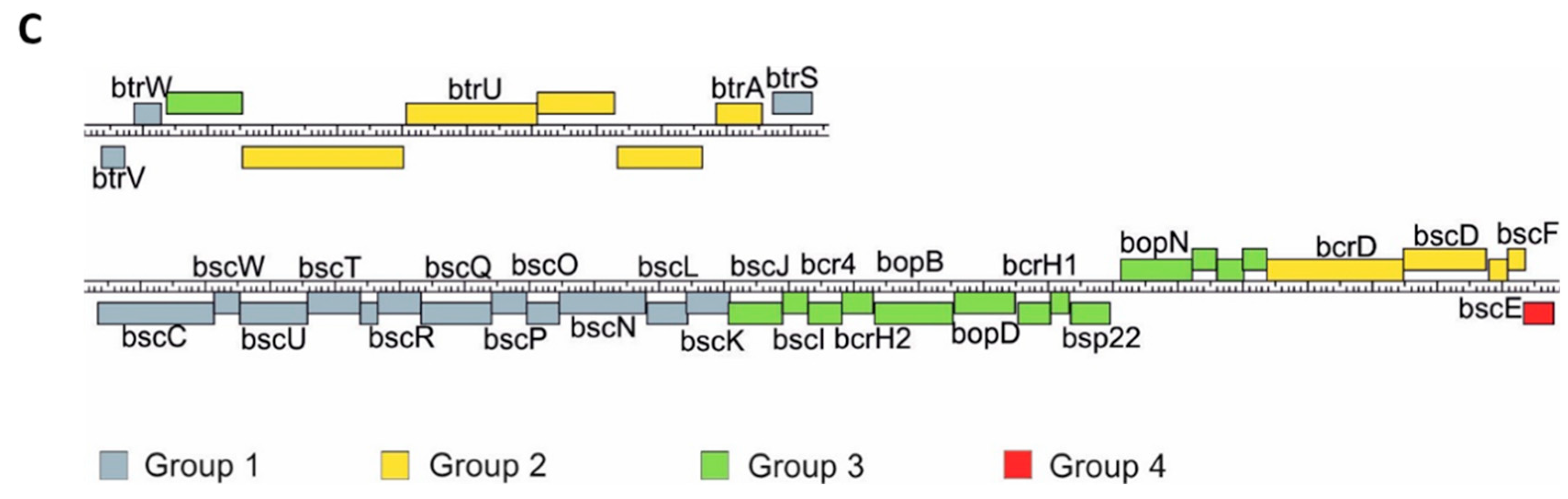 Ijms 22 00736 g005b Ijms 22 00736 g005b