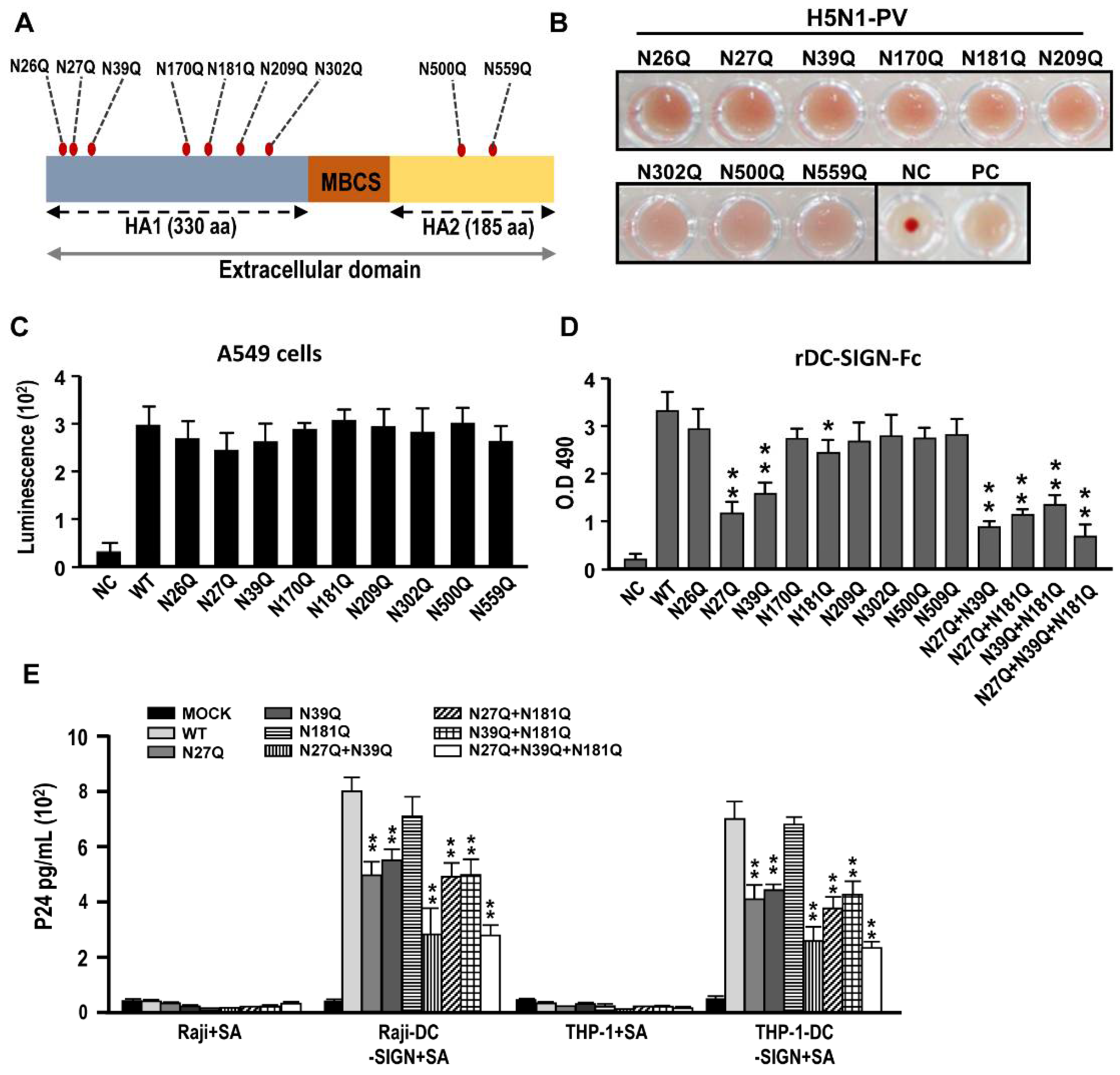 Ijms 22 00743 g004 Ijms 22 00743 g004