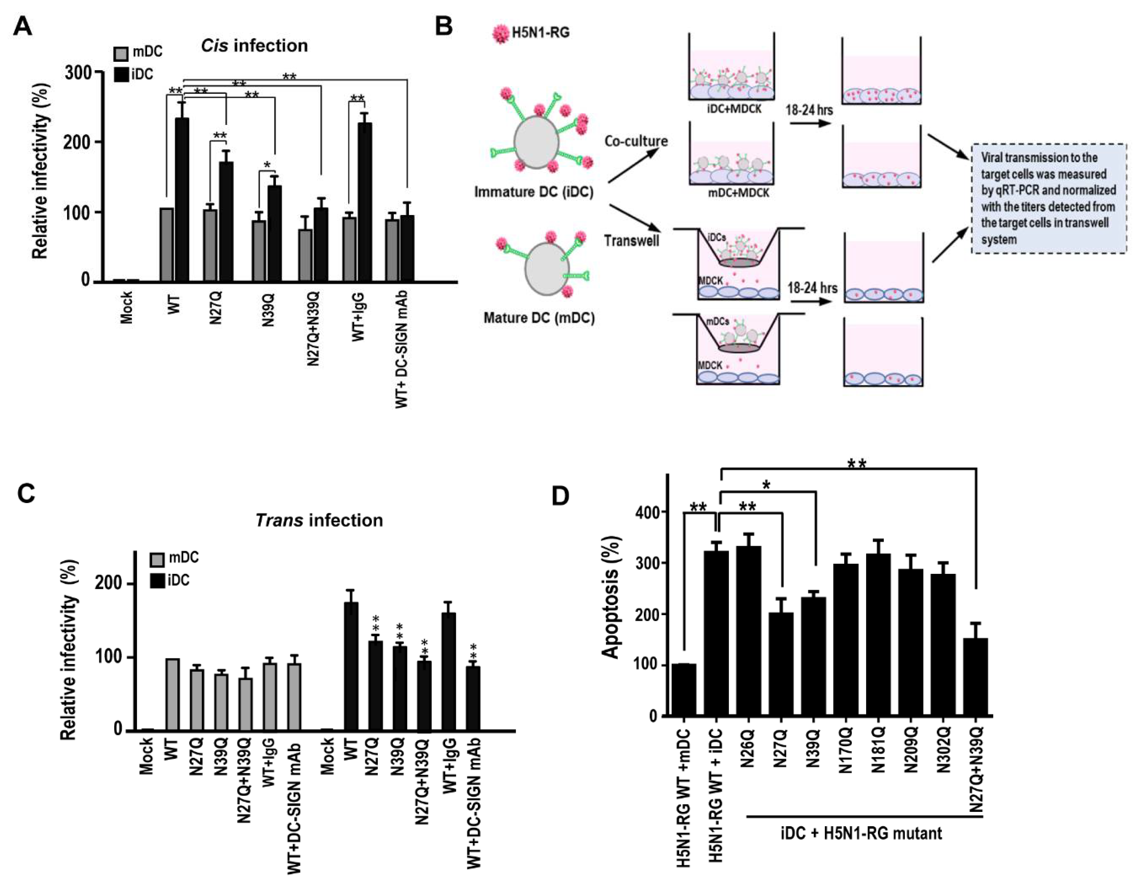 Ijms 22 00743 g007 Ijms 22 00743 g007