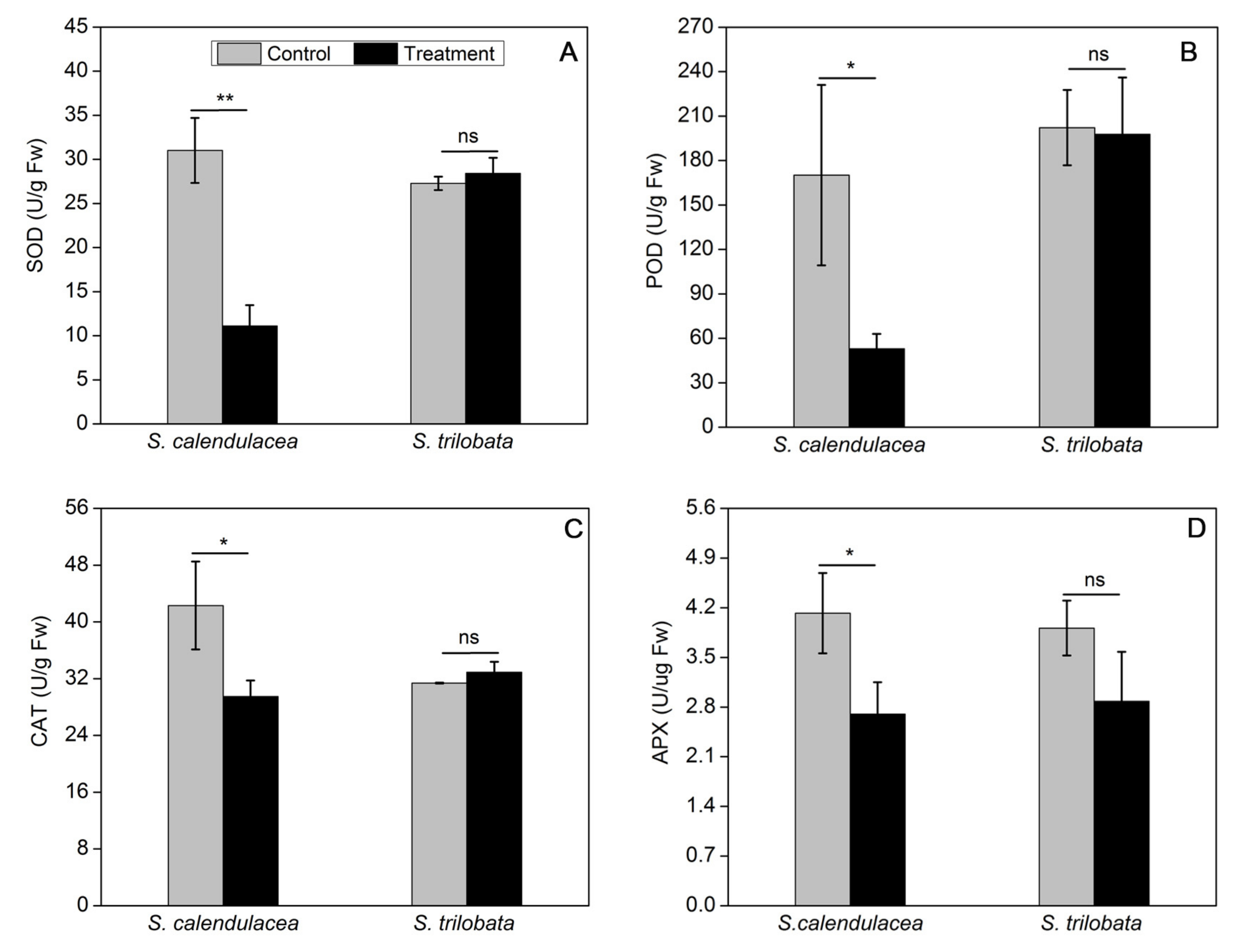 Ijms 22 00748 g004 Ijms 22 00748 g004