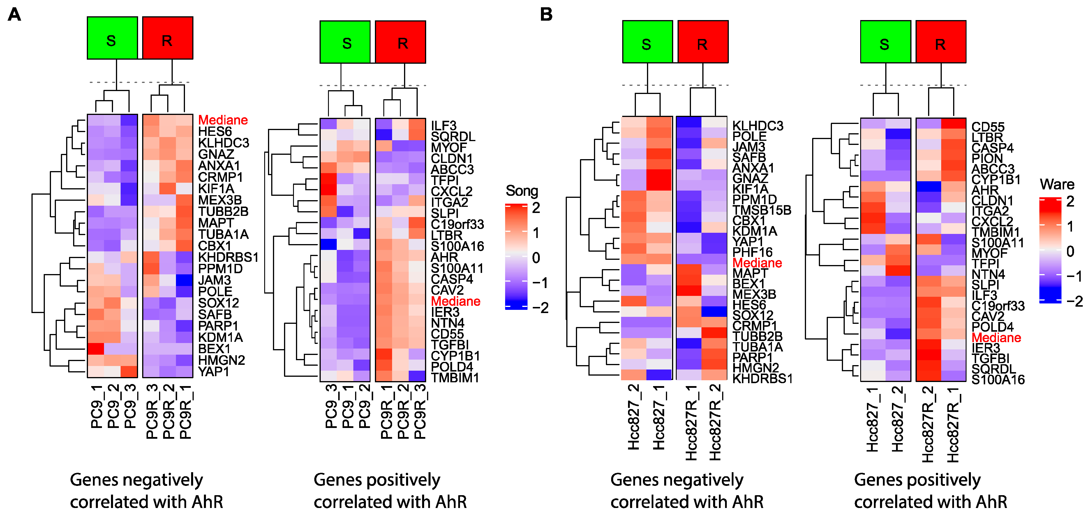 Ijms 22 00752 g006 Ijms 22 00752 g006