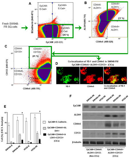 IJMS | Free Full-Text | FOLFOX Therapy Induces Feedback Upregulation of  CD44v6 through YB-1 to Maintain Stemness in Colon Initiating Cells