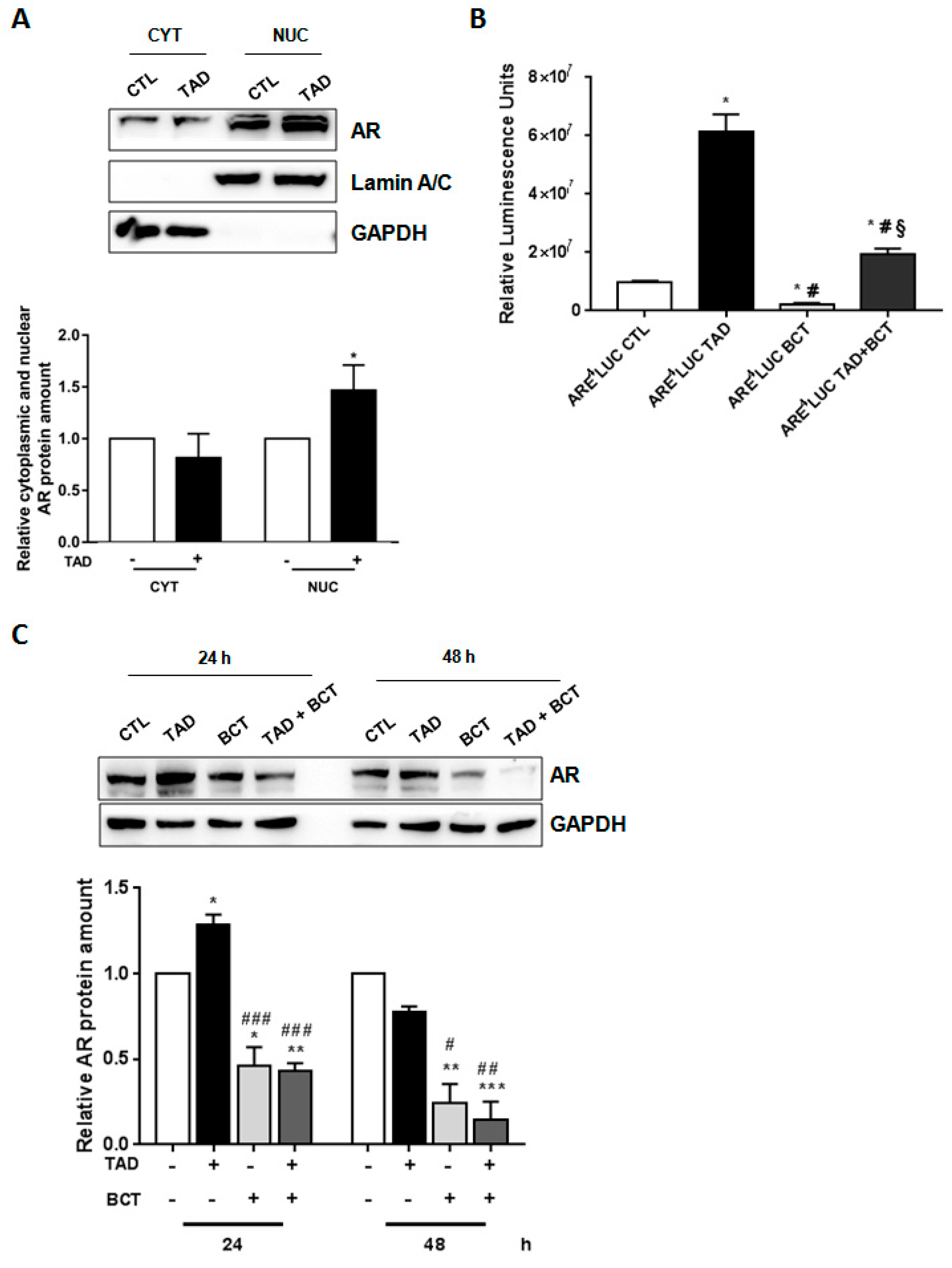 Ijms 22 00754 g002 Ijms 22 00754 g002