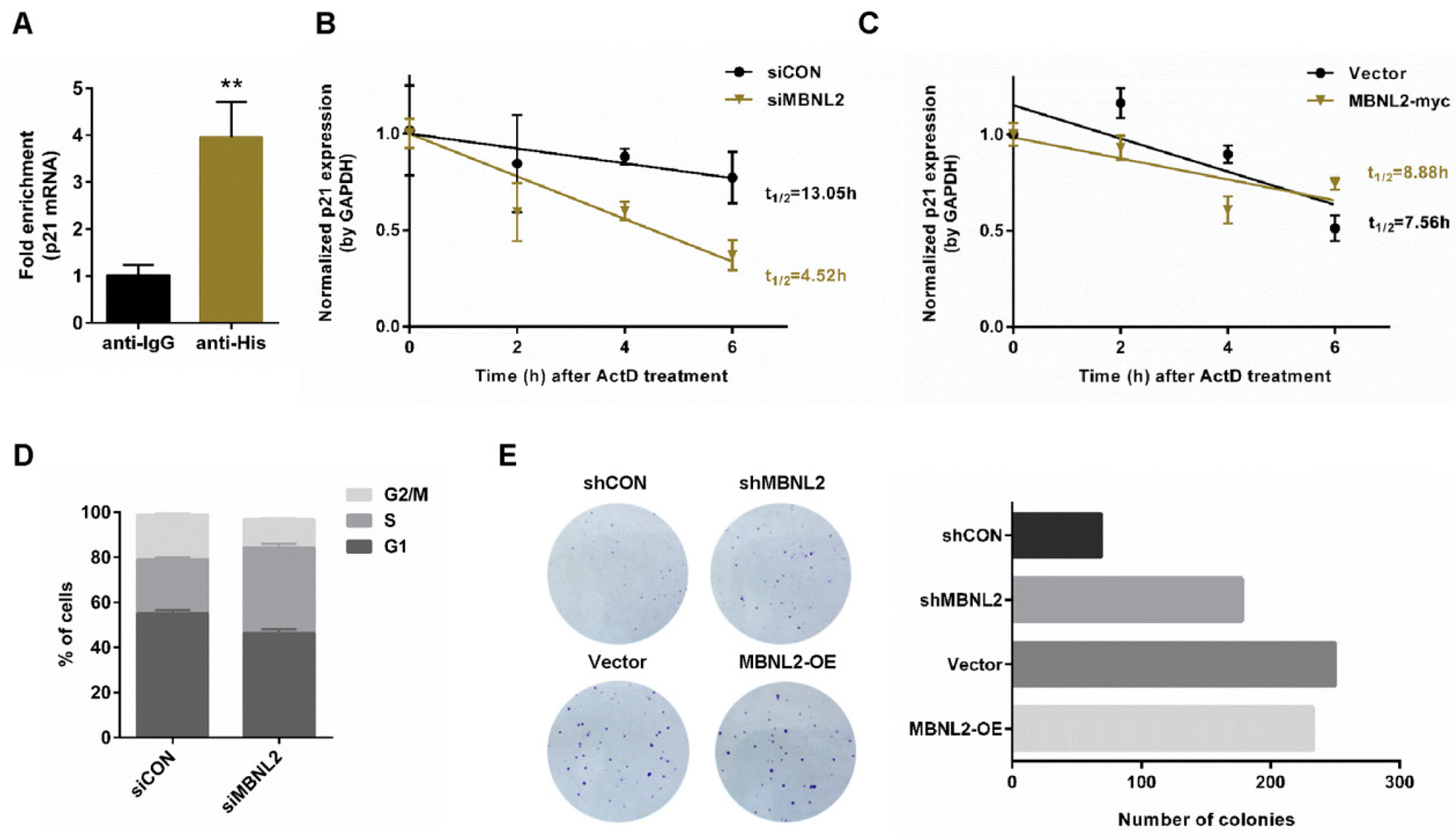 Ijms 22 00783 g003 Ijms 22 00783 g003