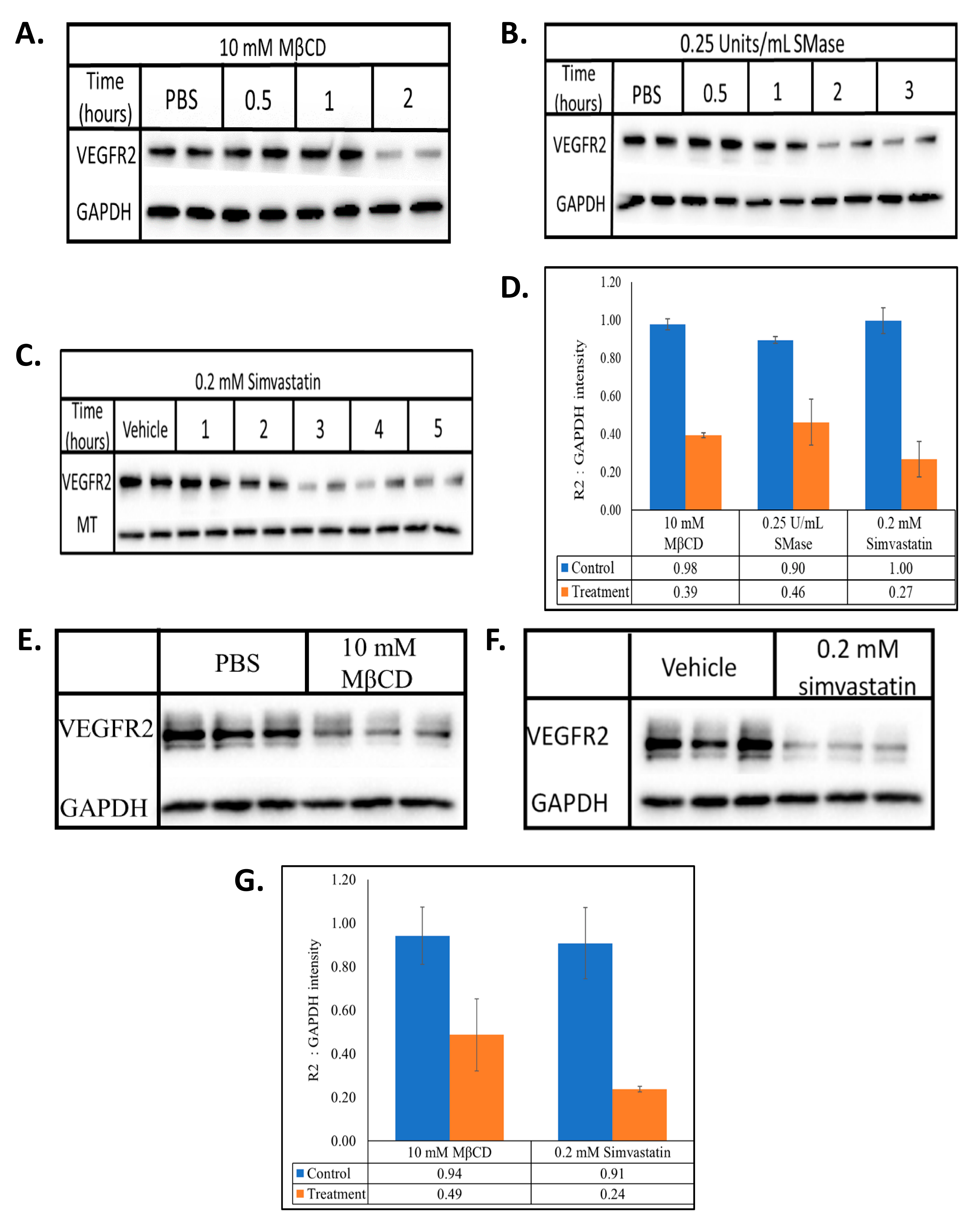 Ijms 22 00798 g001 Ijms 22 00798 g001