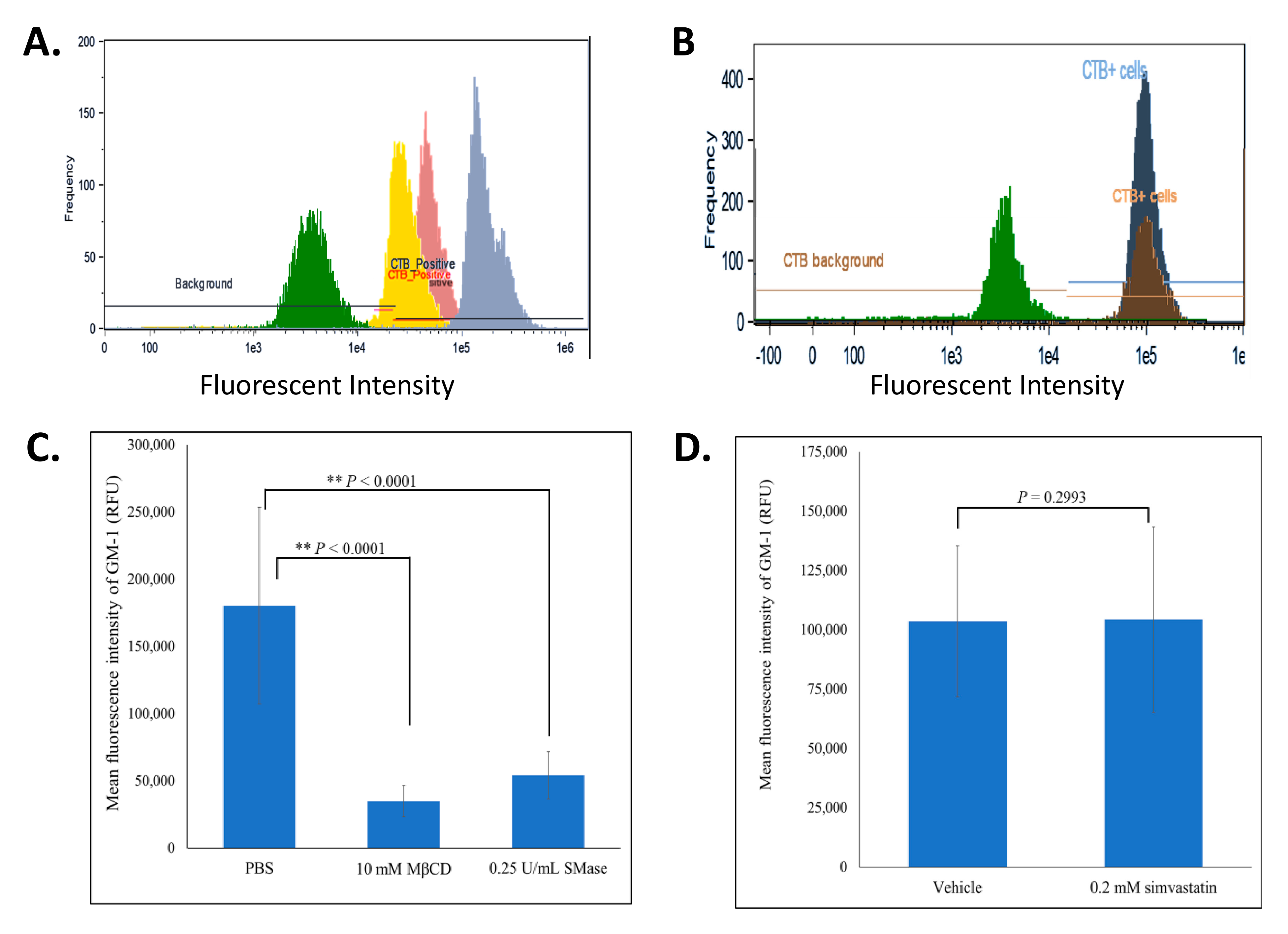 Ijms 22 00798 g003 Ijms 22 00798 g003