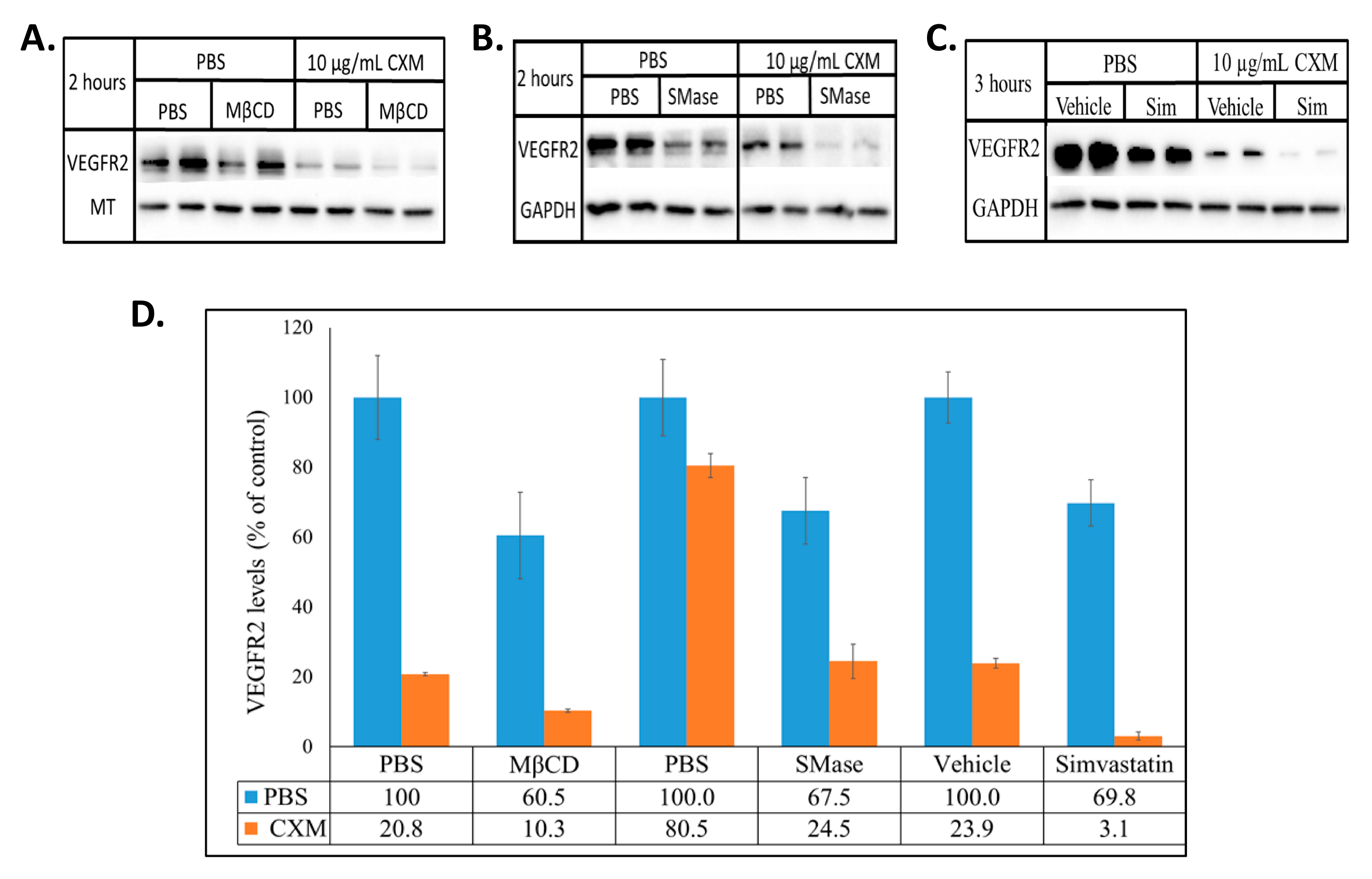 Ijms 22 00798 g005 Ijms 22 00798 g005