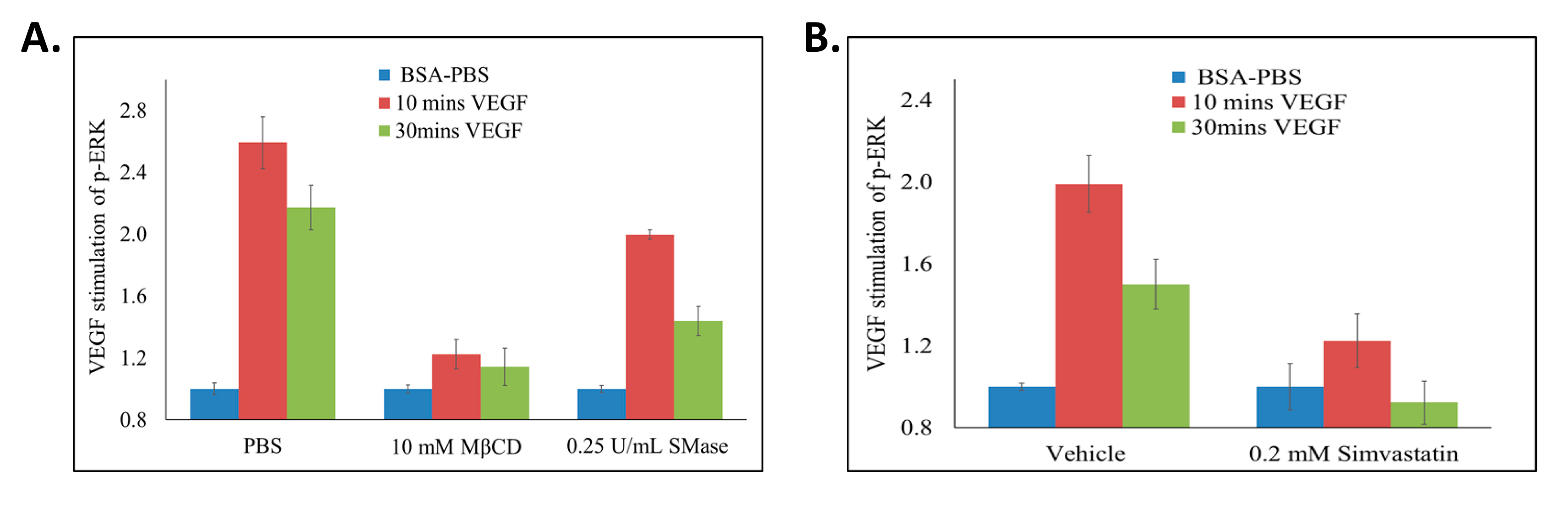 Ijms 22 00798 g007 Ijms 22 00798 g007