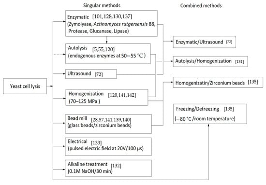 Ijms Free Full Text Spent Brewer S Yeast As A Source Of Insoluble B Glucans Html