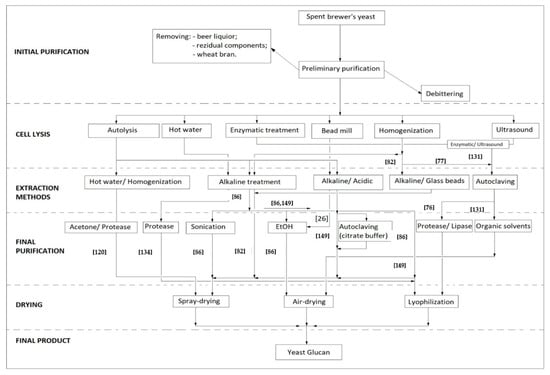 Ijms Free Full Text Spent Brewer S Yeast As A Source Of Insoluble B Glucans Html