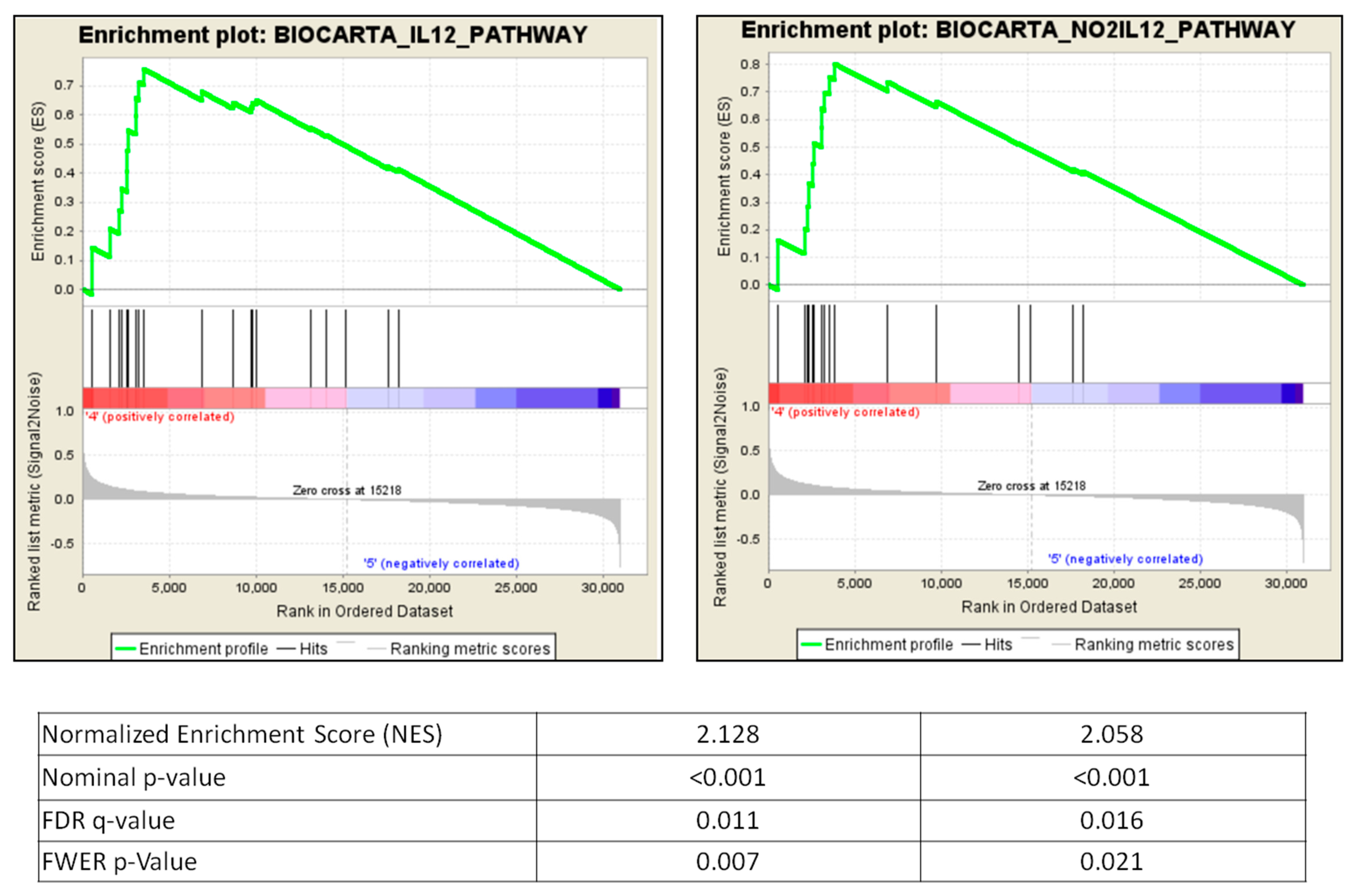 Ijms 22 00861 g007 Ijms 22 00861 g007