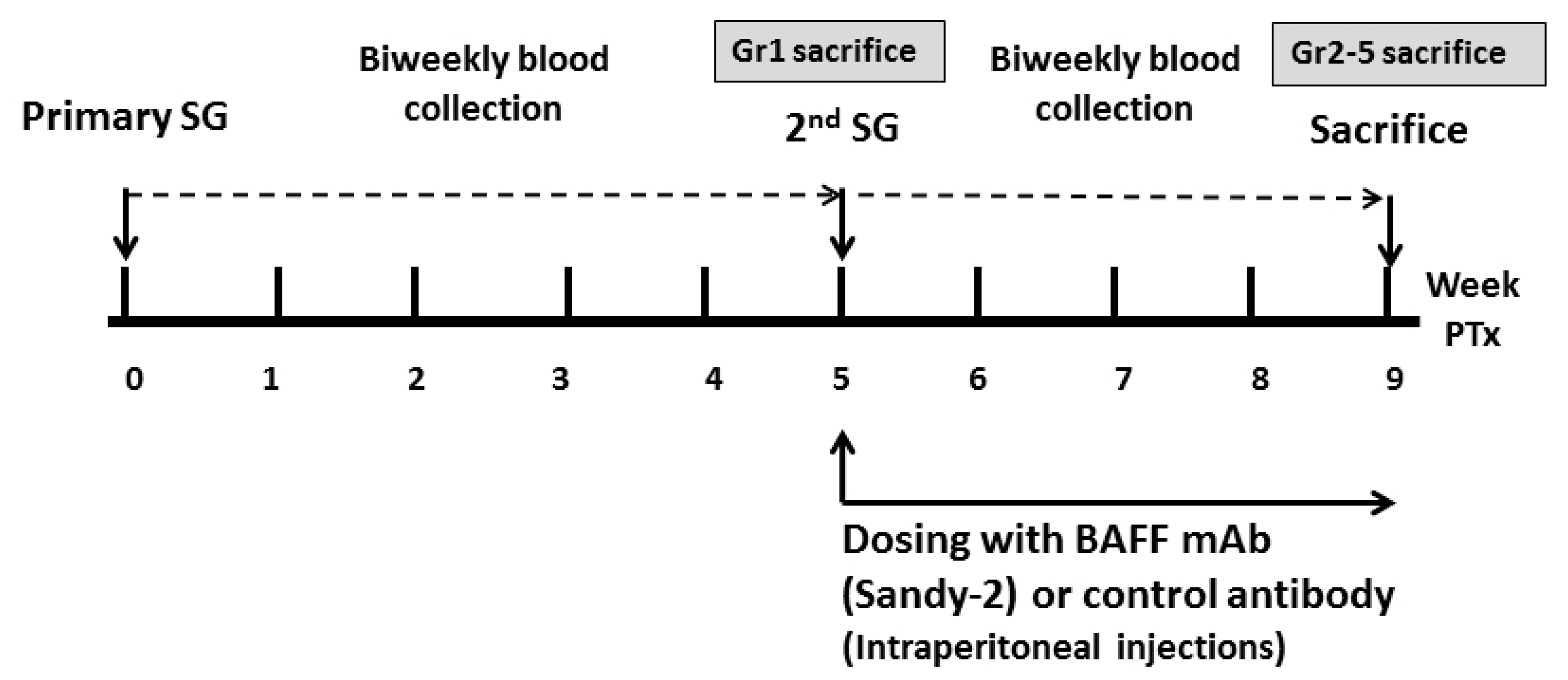 Ijms 22 00861 g008 Ijms 22 00861 g008
