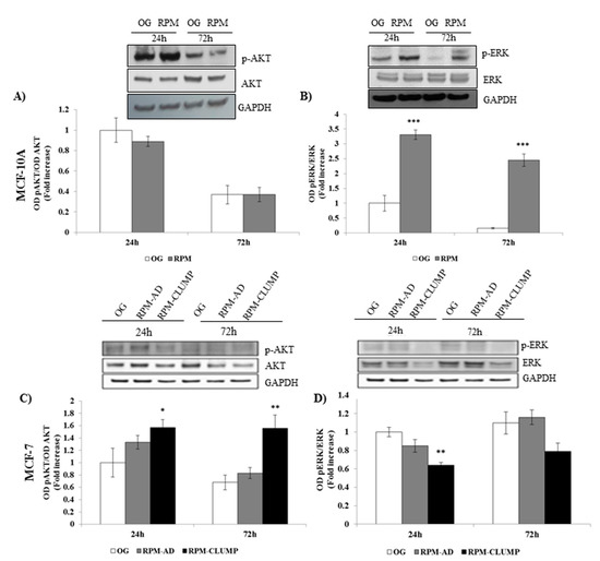 IJMS | Free Full-Text | Survival Pathways Are Differently Affected