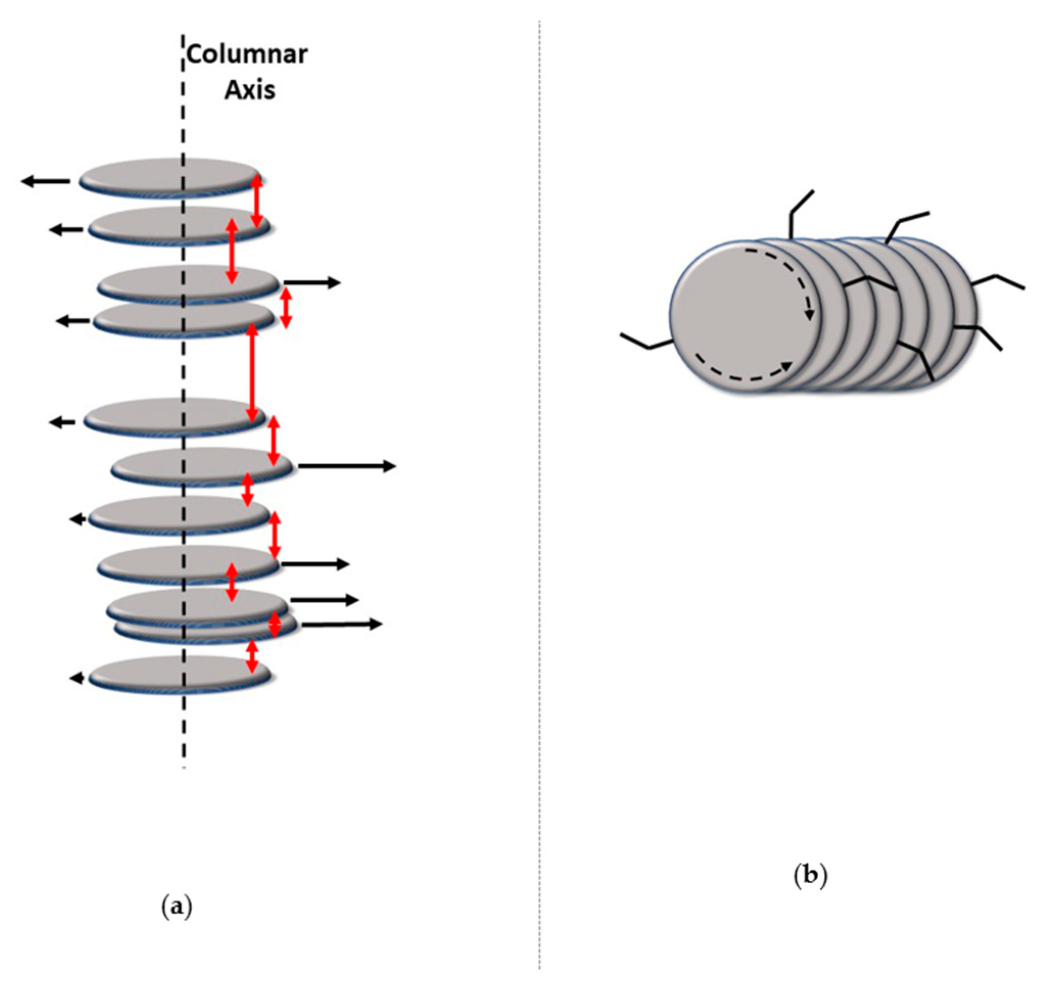 Ijms 22 00877 g004 Ijms 22 00877 g004